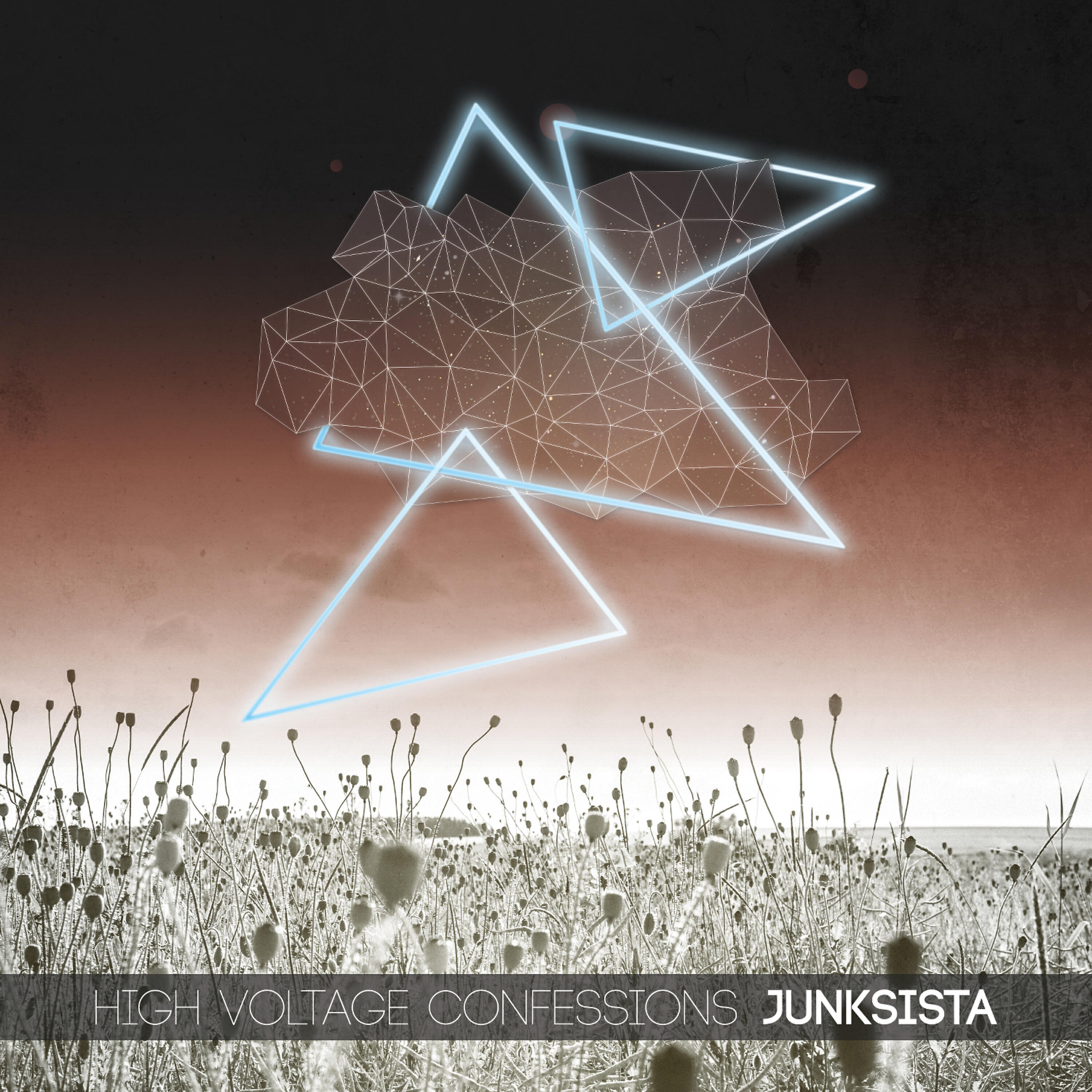 JUNKSISTA - Confide