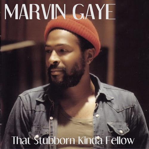 Постер альбома Marvin Gaye: That Stubborn Kinda Fellow