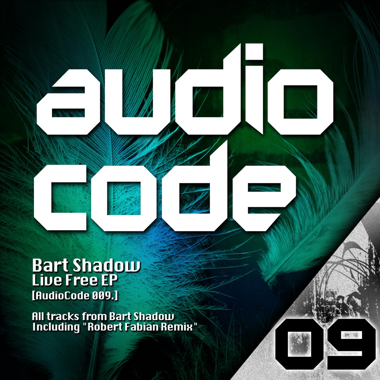 Bart Shadow - My Power