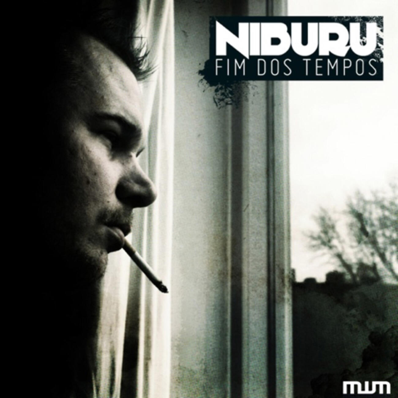Niburu - V838 Light Echo