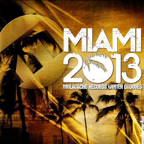 Постер альбома Miami 2013 Winter Grooves