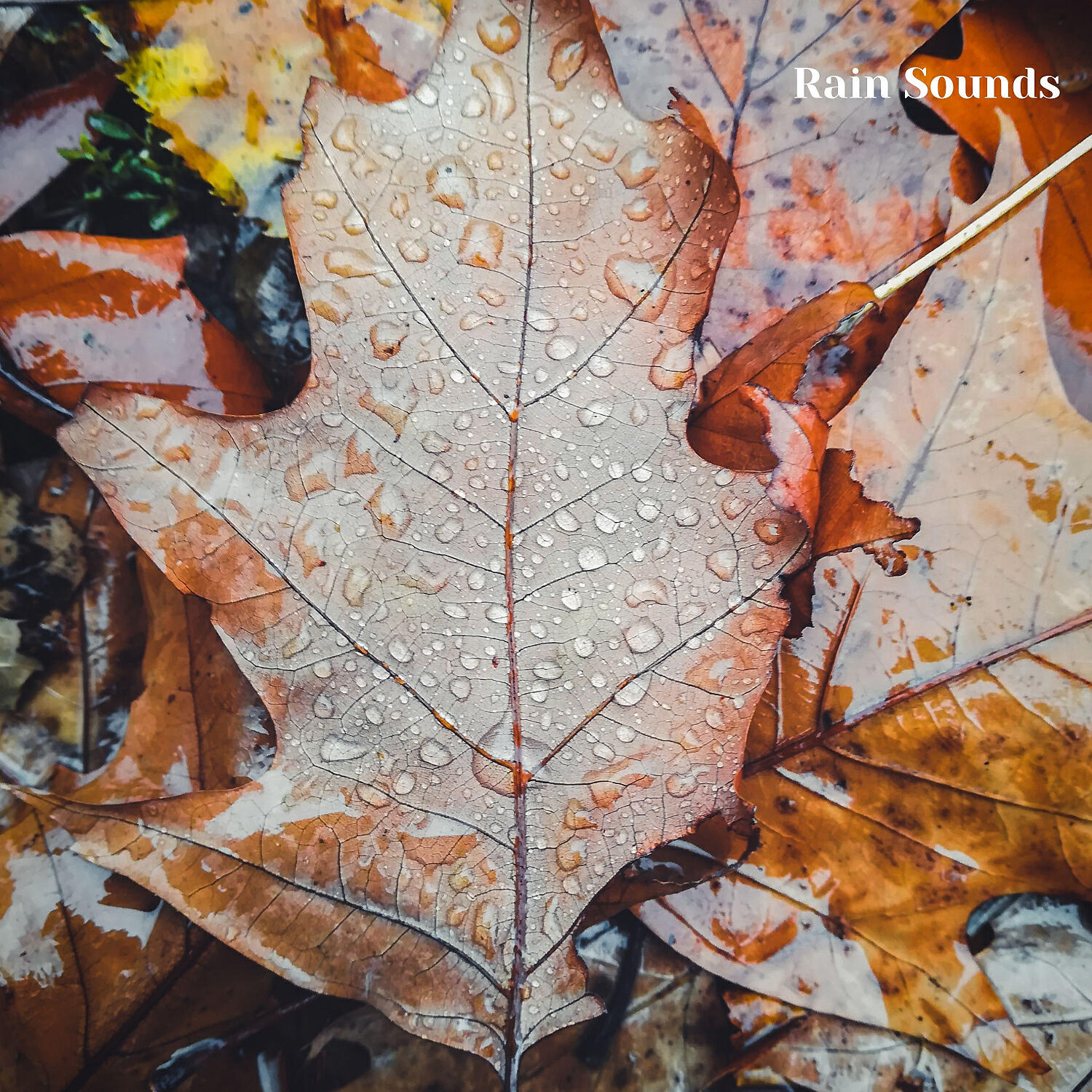 Weather - Rainy Days, Rain Sounds for Relaxing and Sleeping, Pt. 6