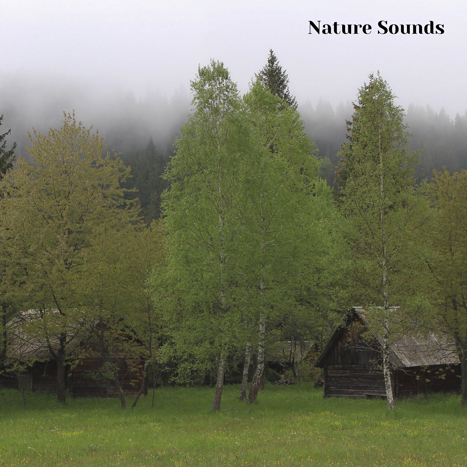 Nature Recordings - Nature Sounds for Deep Sleep, Nature Sounds, Pt. 8