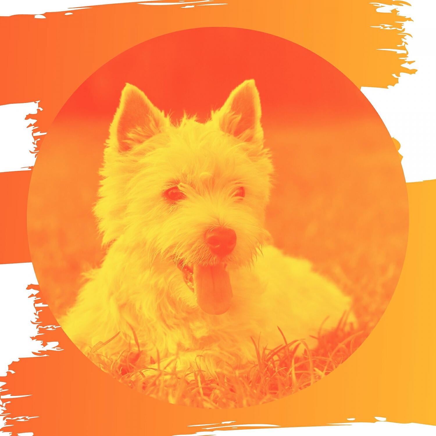 Relaxing Dog Music Moments - Distinguished Music for Calming Your Puppy