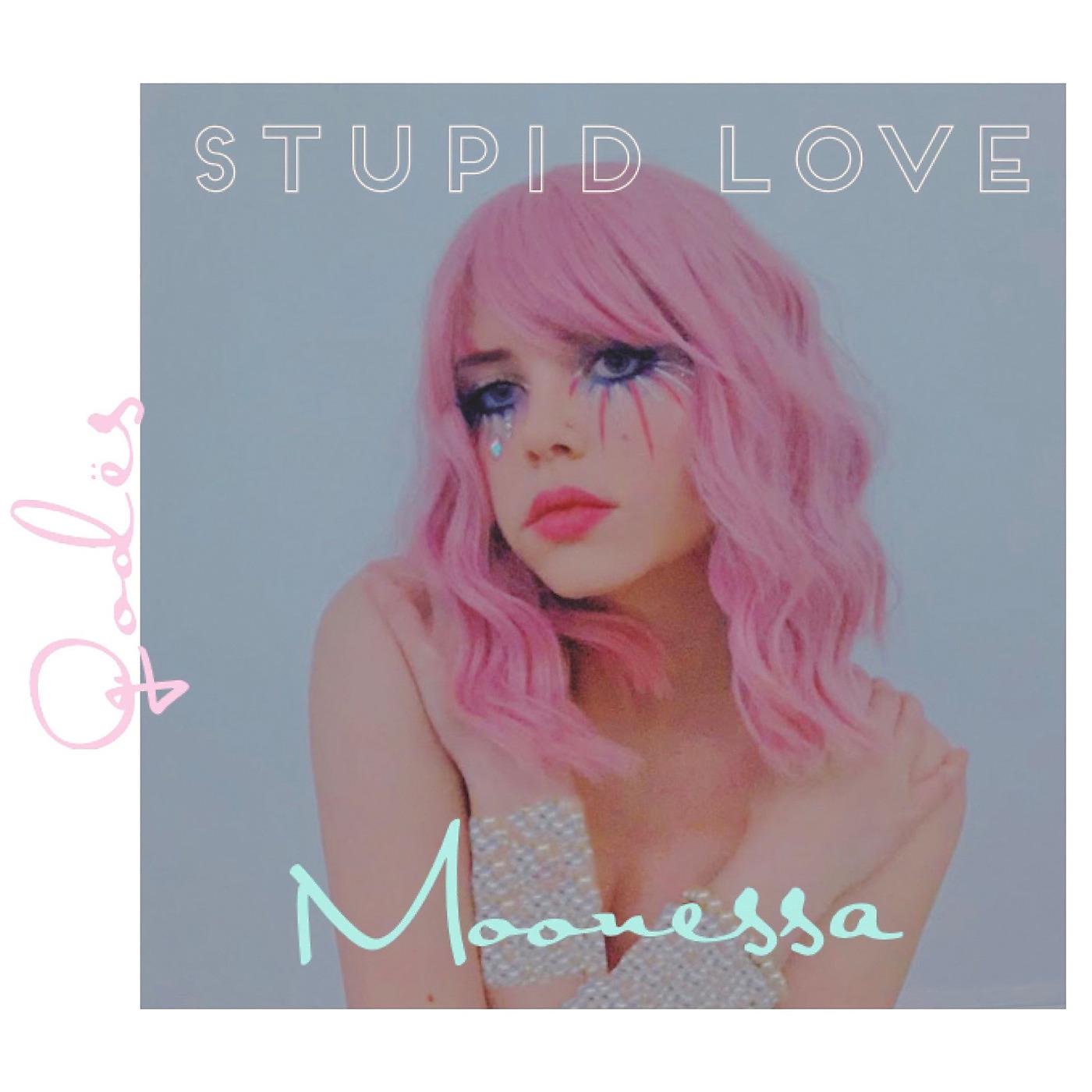 Постер альбома Stupid Love