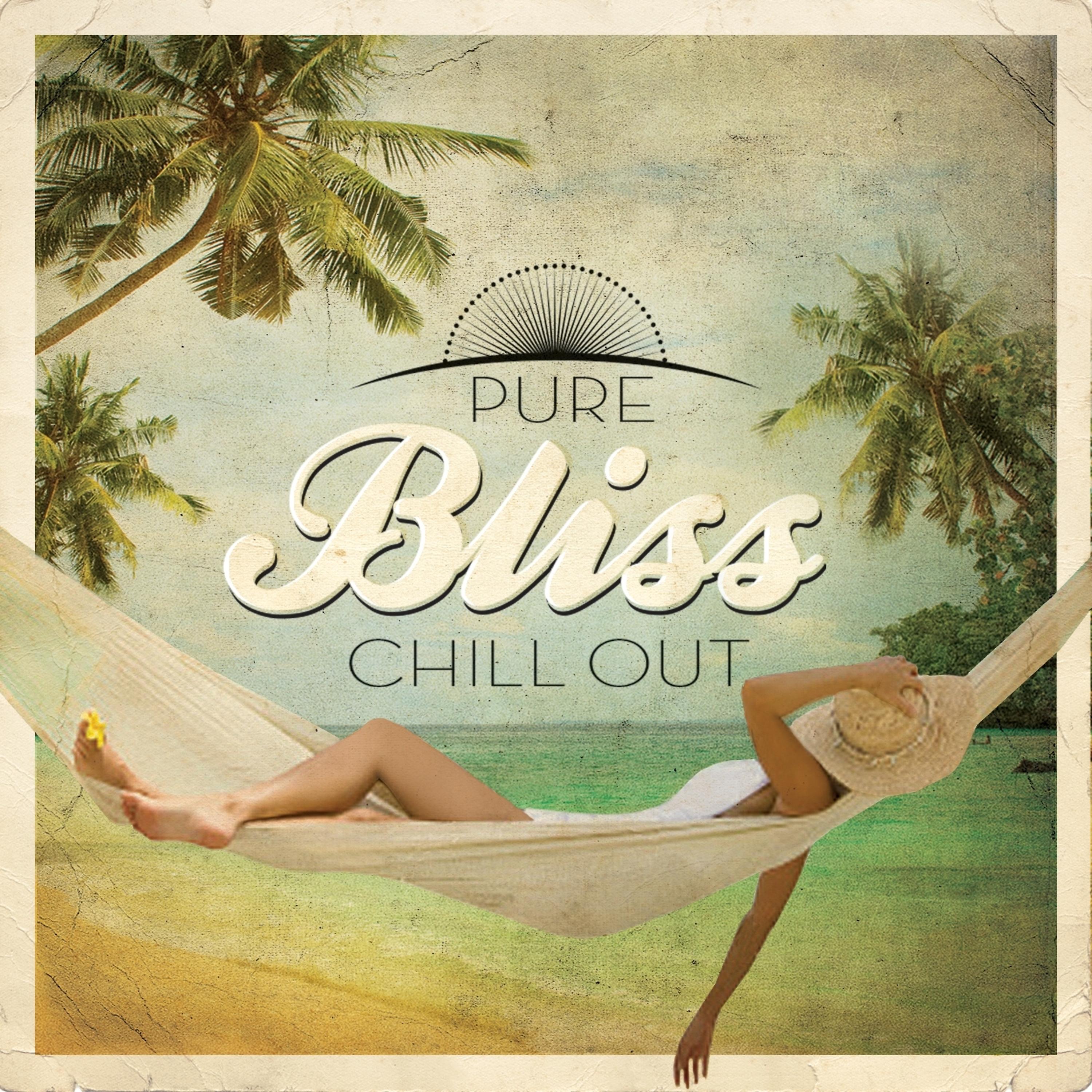 Постер альбома Pure Bliss Chill Out