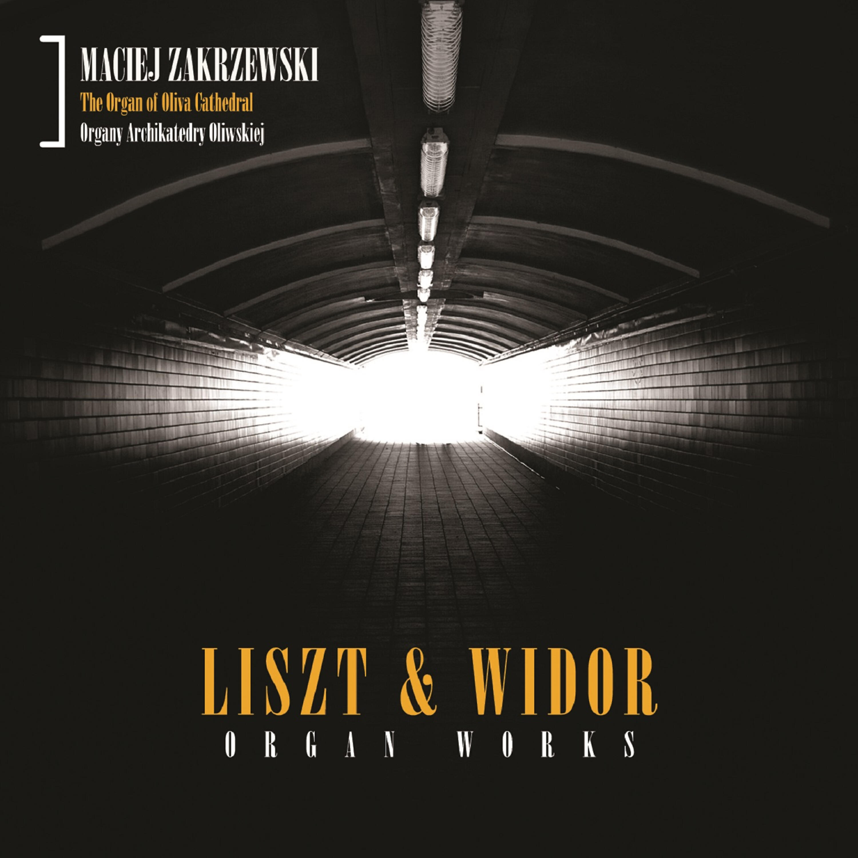 Maciej Zakrzewski - Ad Nos, Ad Salutaren Undam (Fantasia)