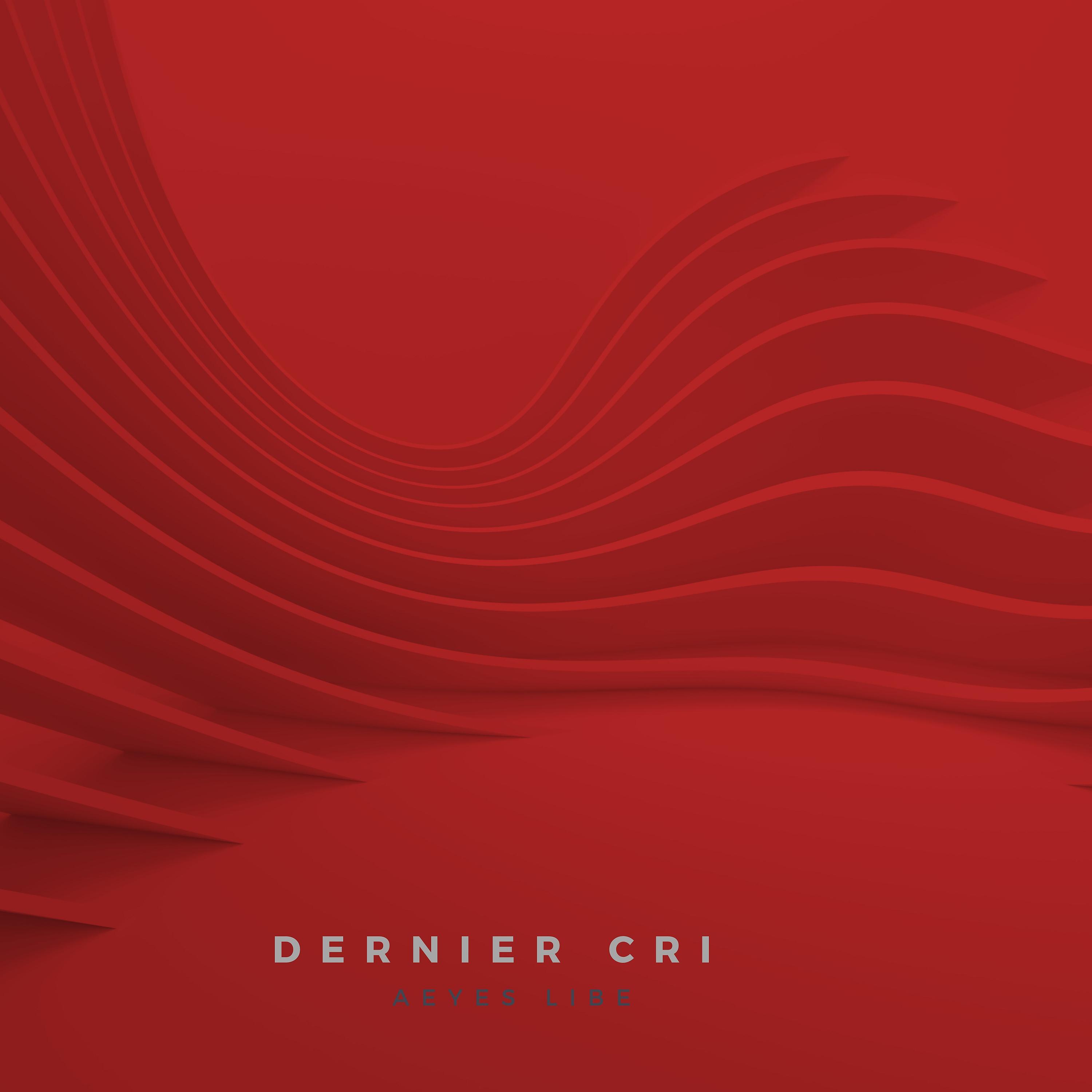 Постер альбома Dernier Cri