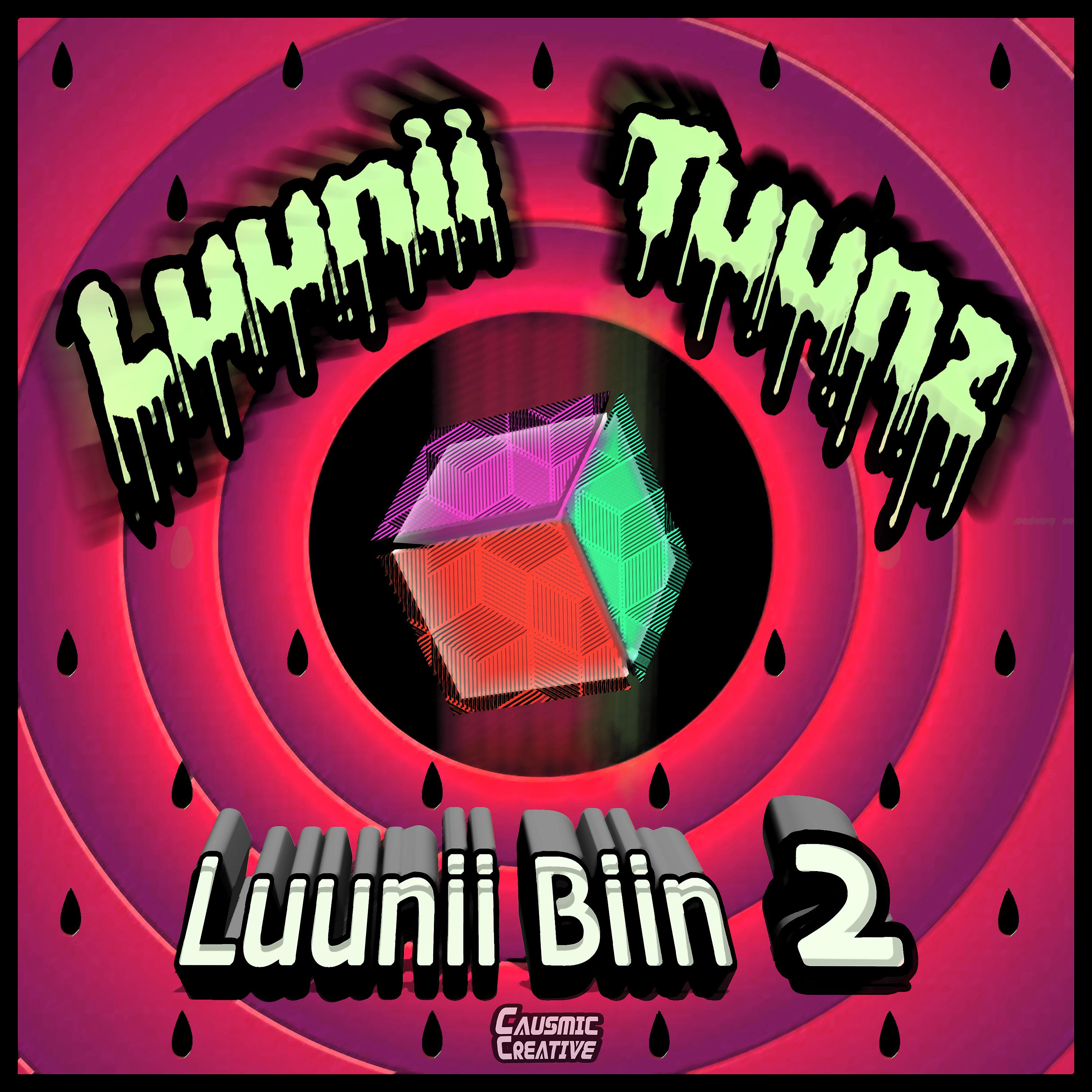 Постер альбома Luuni Biin 2