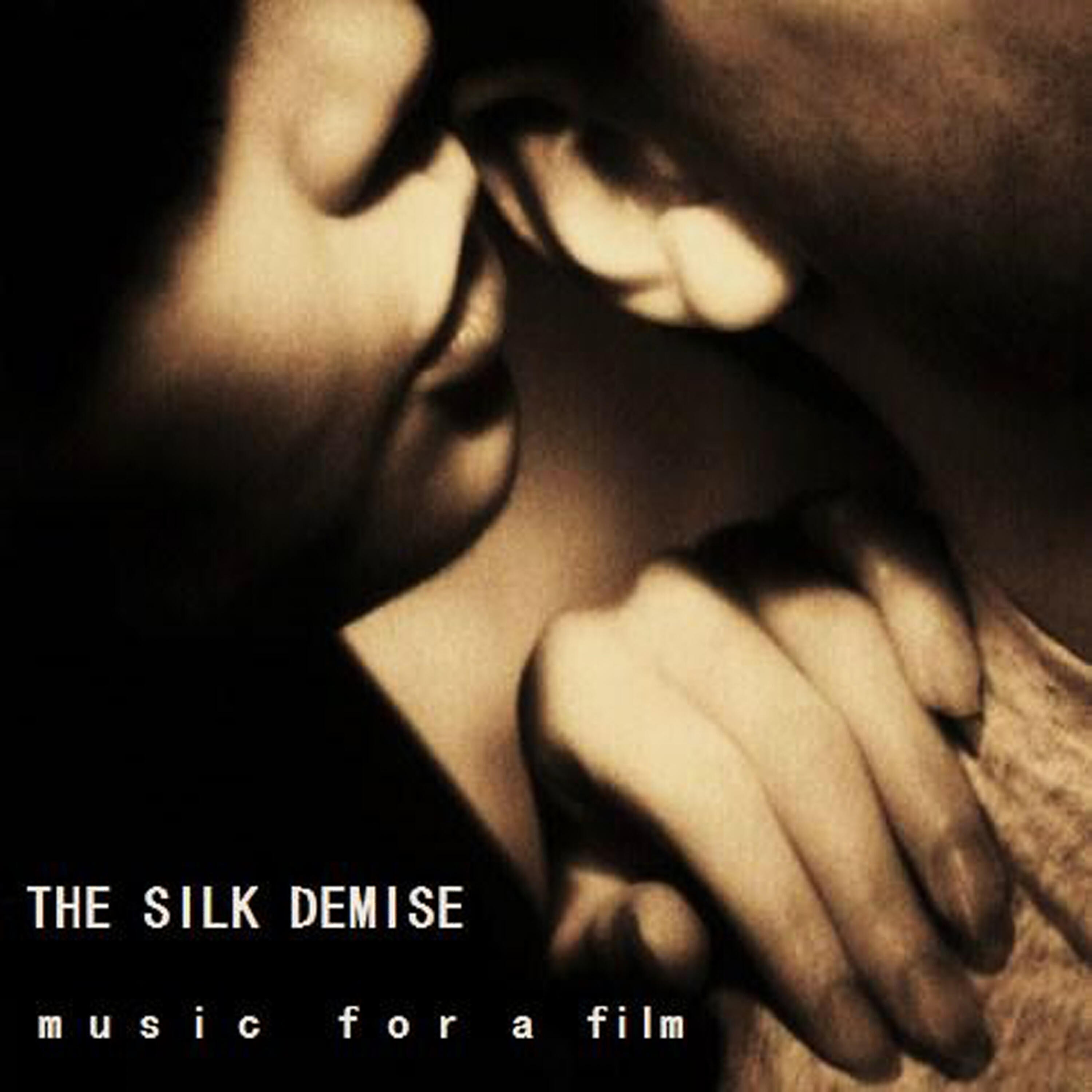 The Silk Demise - Self Delusion (feat. The Silk Demise, Bill Litshauer)