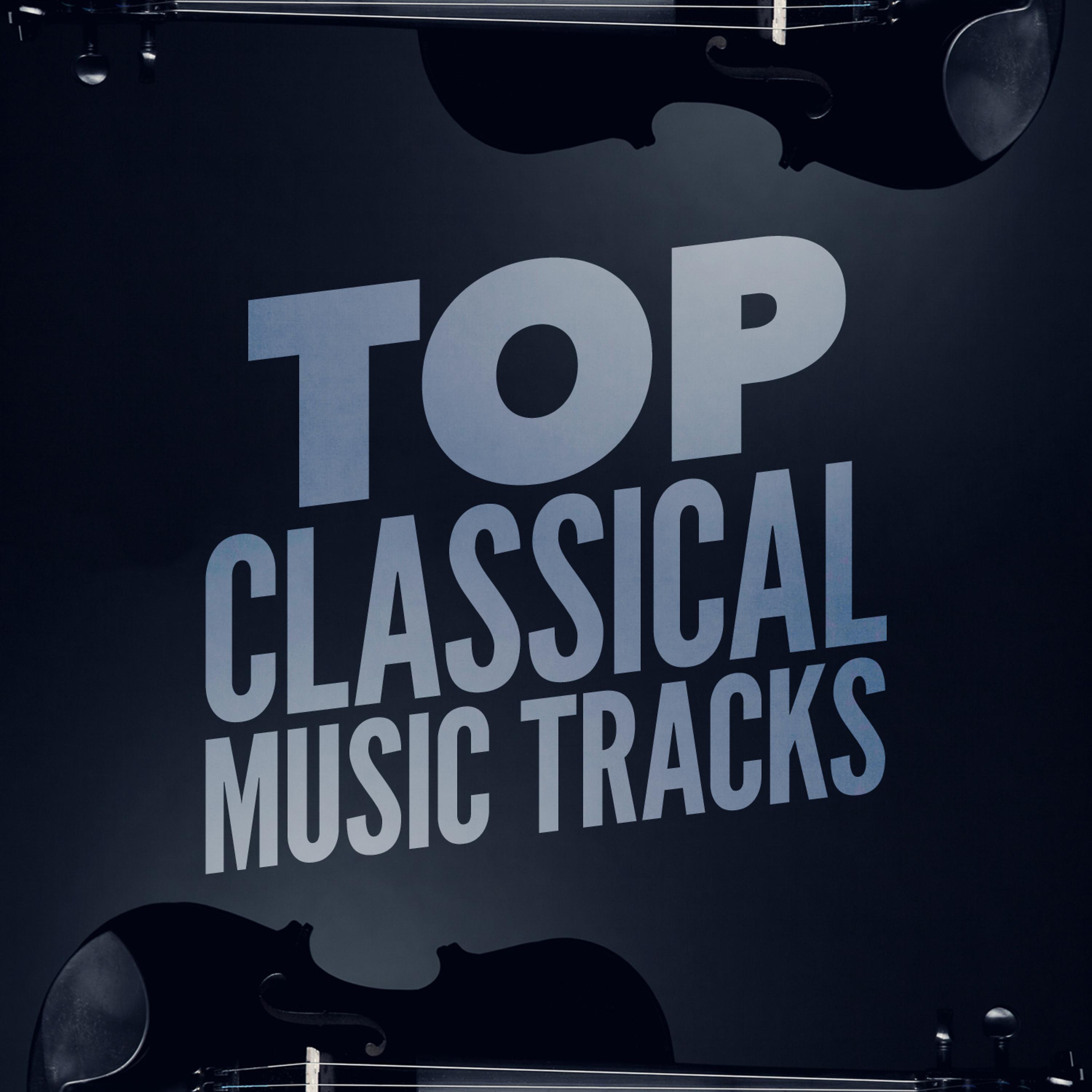 Постер альбома Top Classical Music Tracks