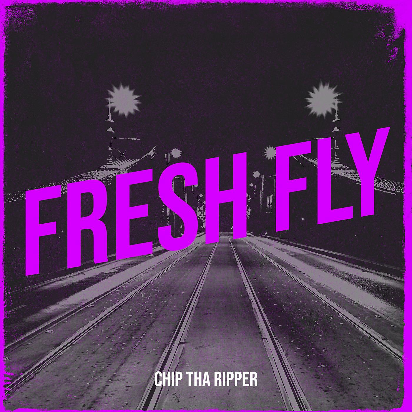 Постер альбома Fresh Fly