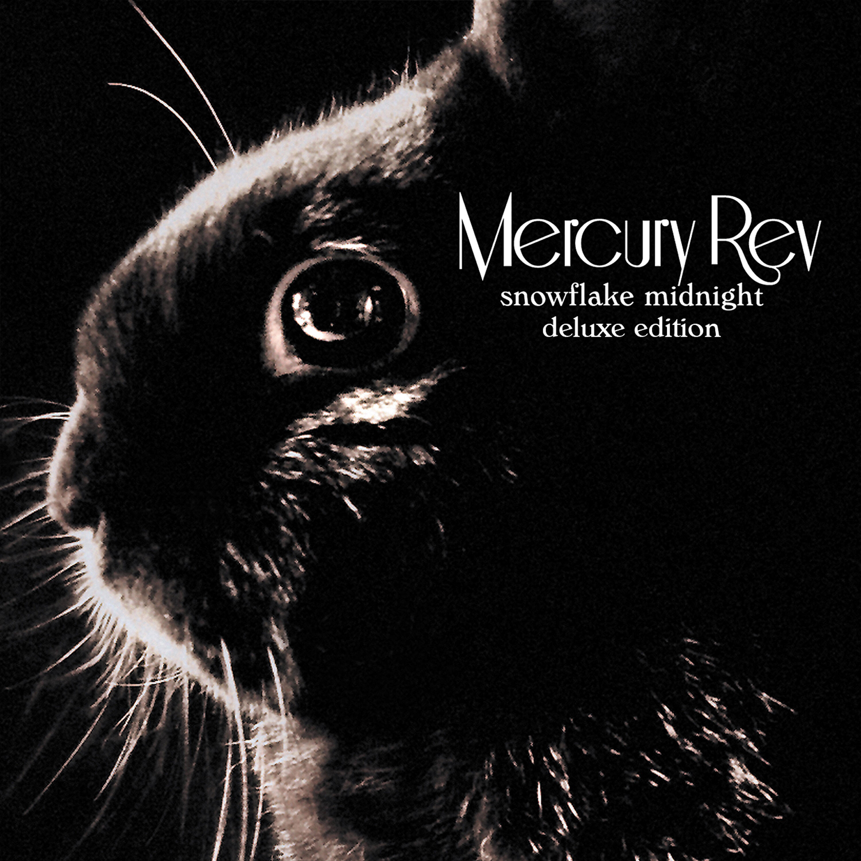Mercury Rev - Senses On Fire (Fujiya And Miyagi Remix)