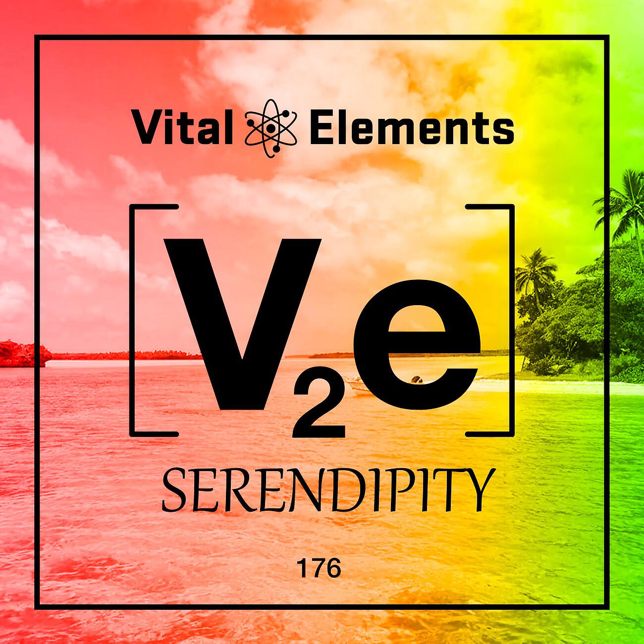 Vital Elements - Serendipity (Serial Killaz Remix)