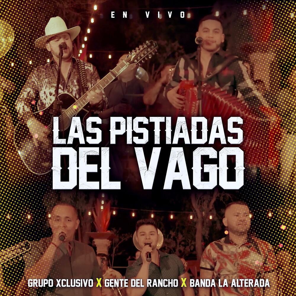 Постер альбома Las Pistiadas Del Vago