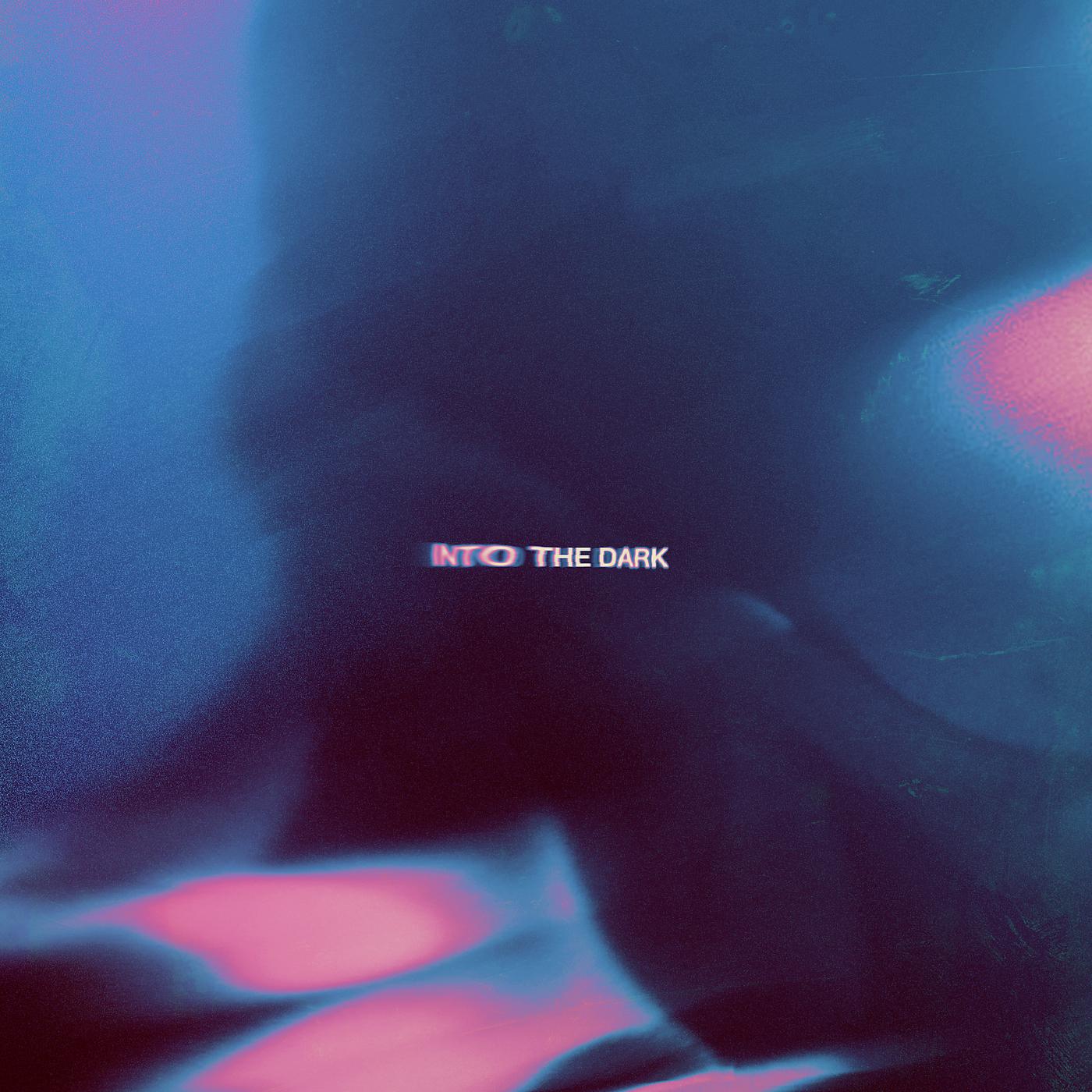 Постер альбома Into The Dark