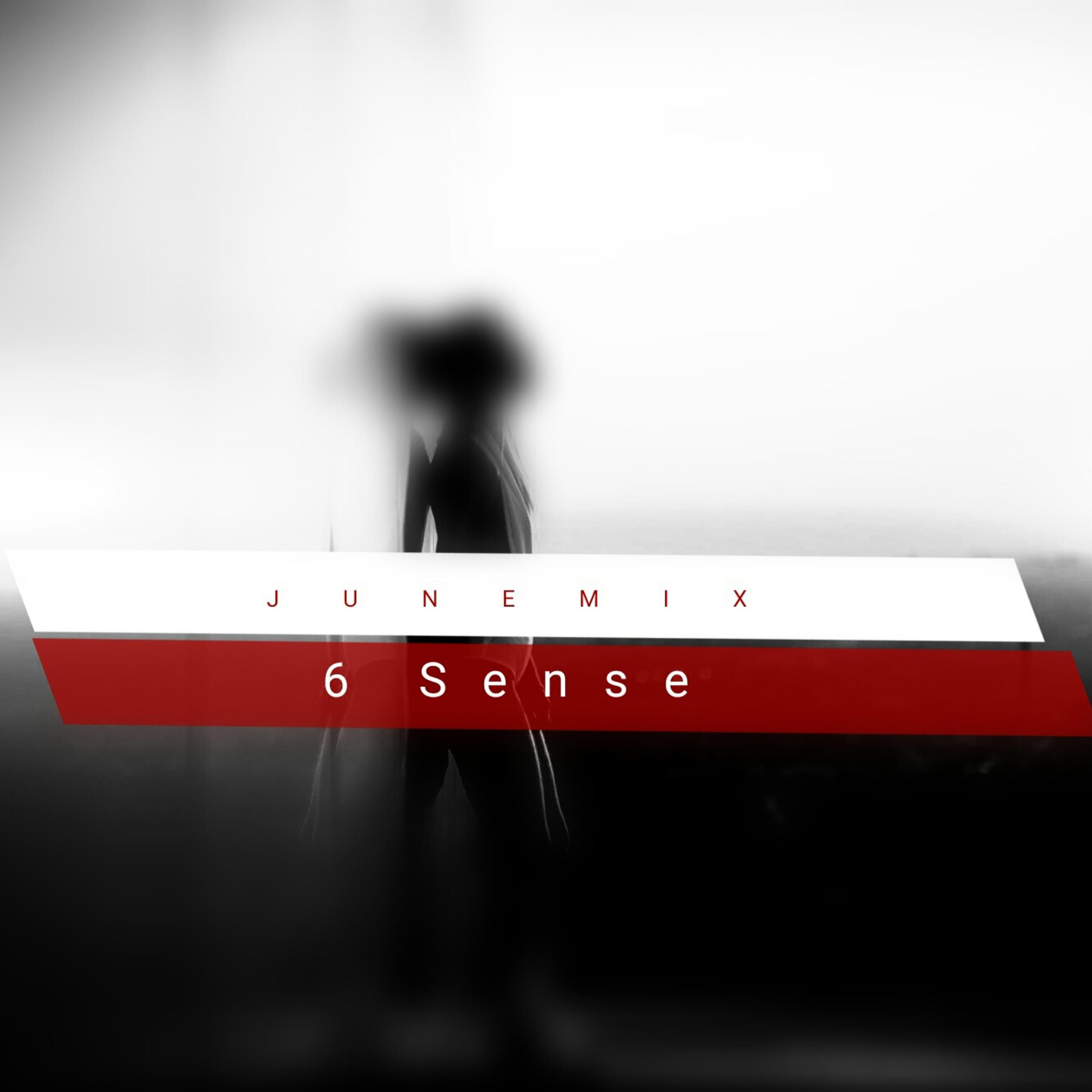 Постер альбома 6 Sense