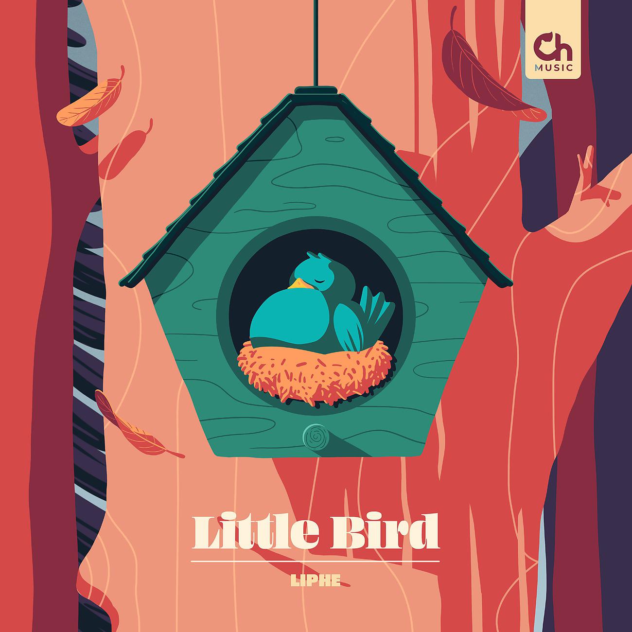 Постер альбома Little Bird