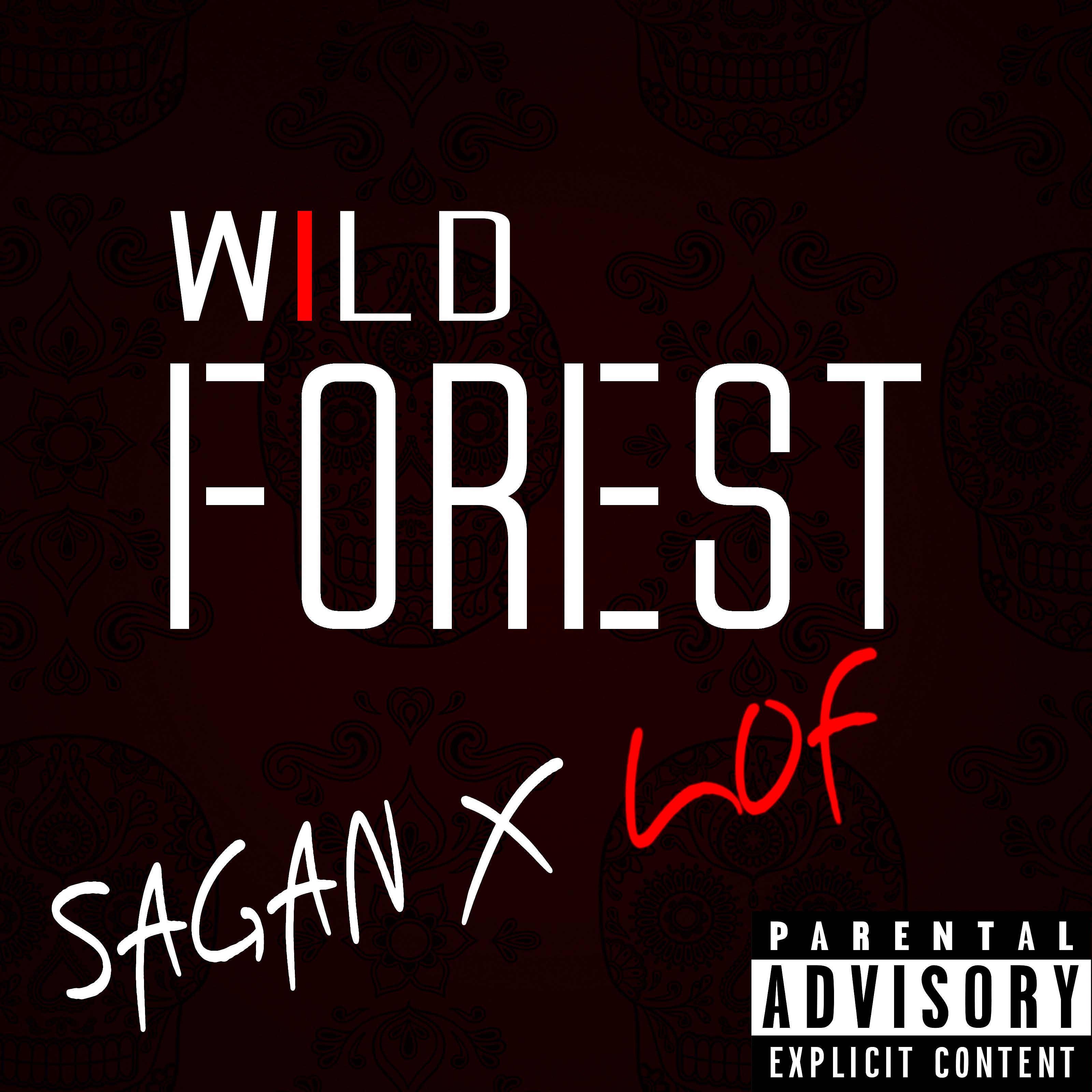 Постер альбома Wild Forest