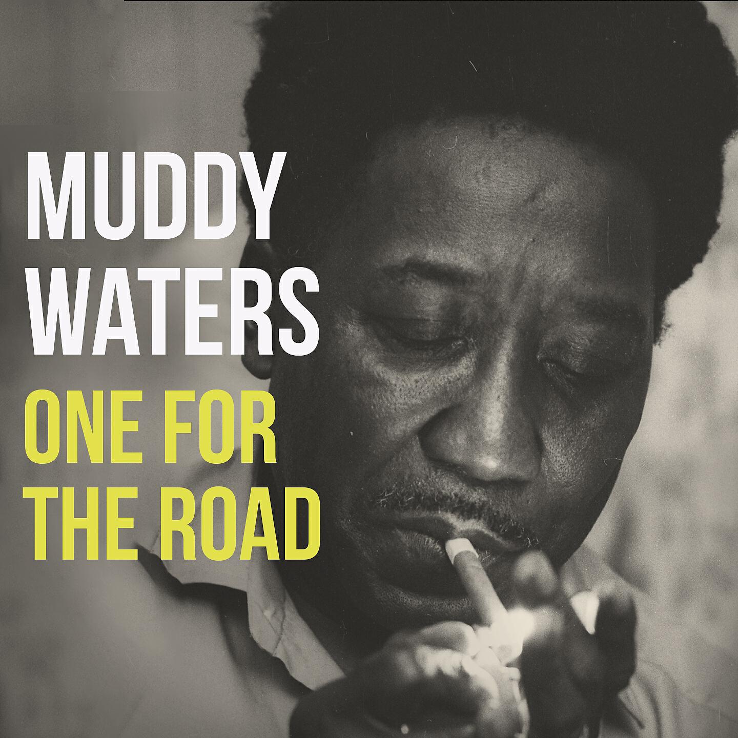 Muddy Waters - Tiger in Your Tank