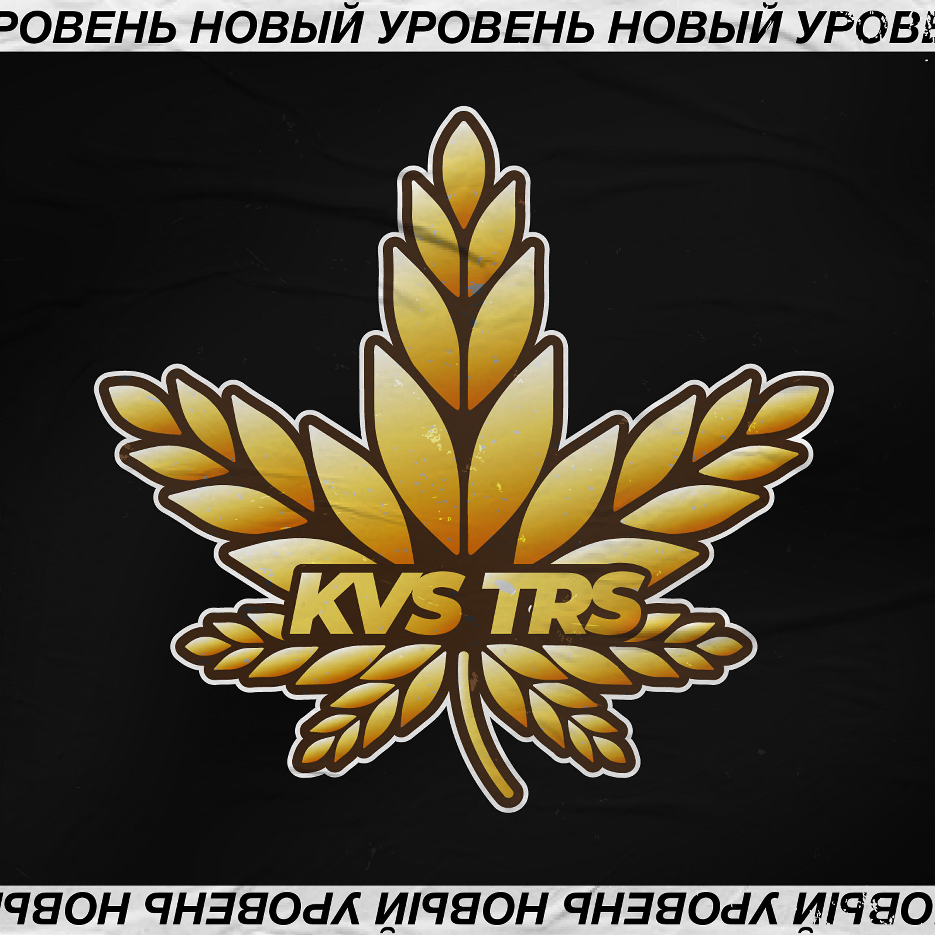 KVS TRS - Школа