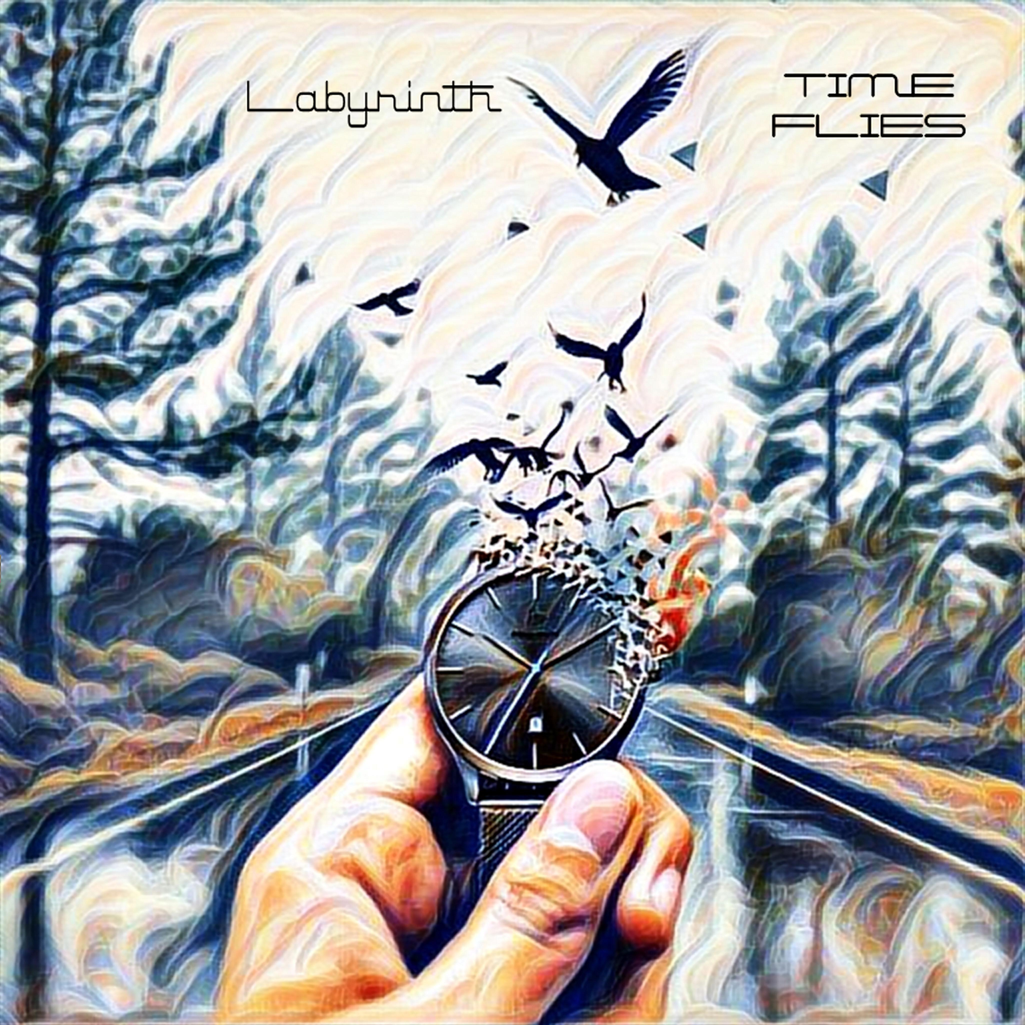 LABYRINTH - Time Flies