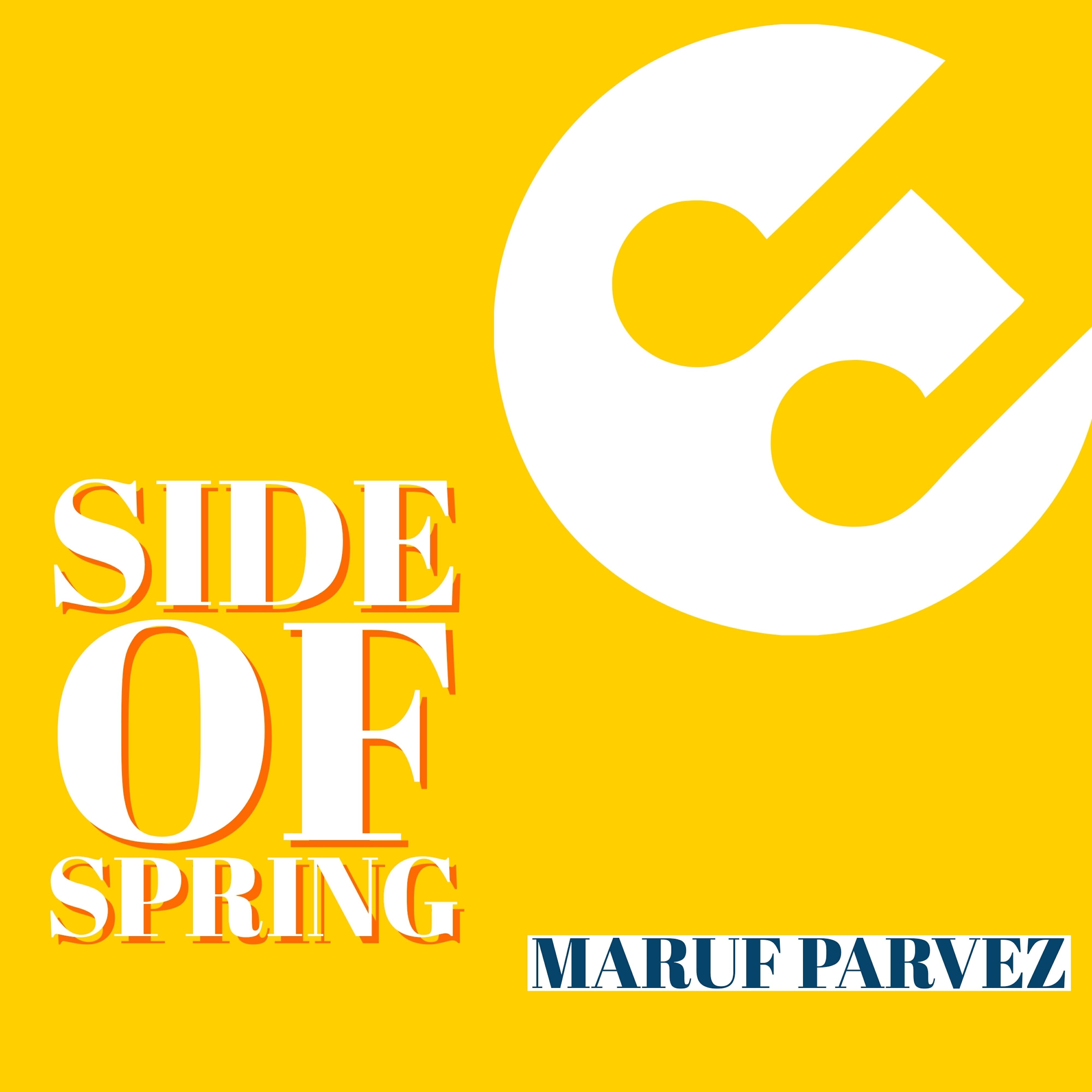 Maruf Parvez - Side of Spring