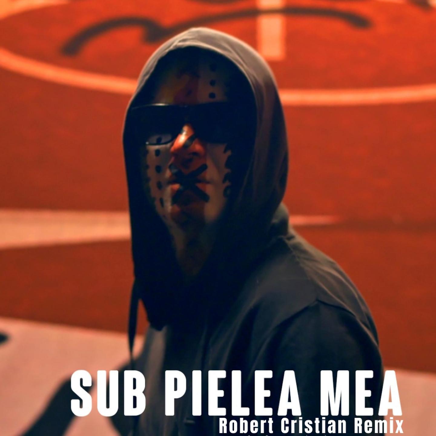 Постер альбома Sub Pielea Mea