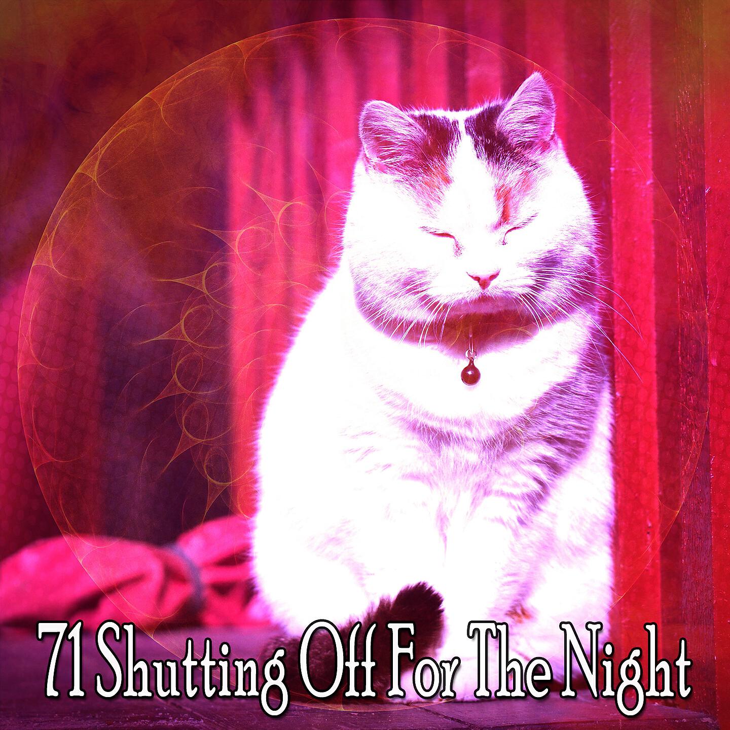 White Noise For Baby Sleep - The Night Wish