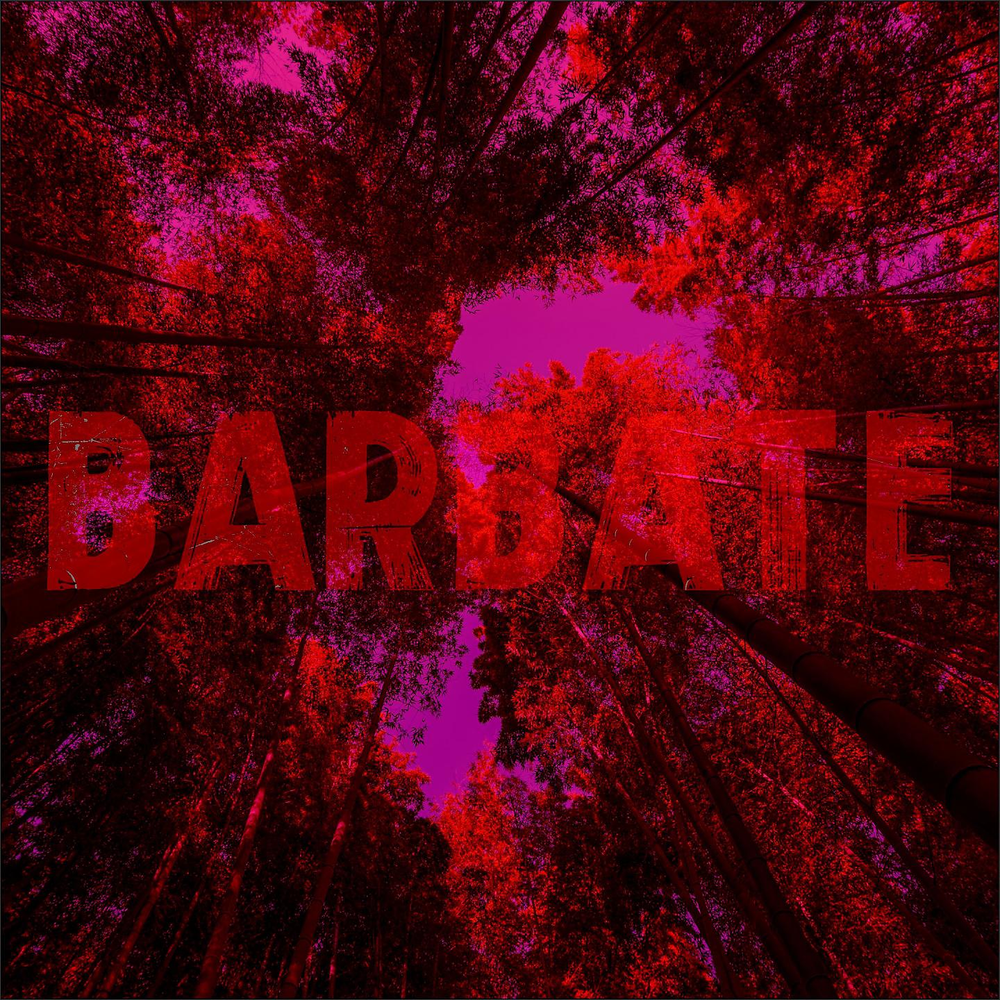 Постер альбома Barbate