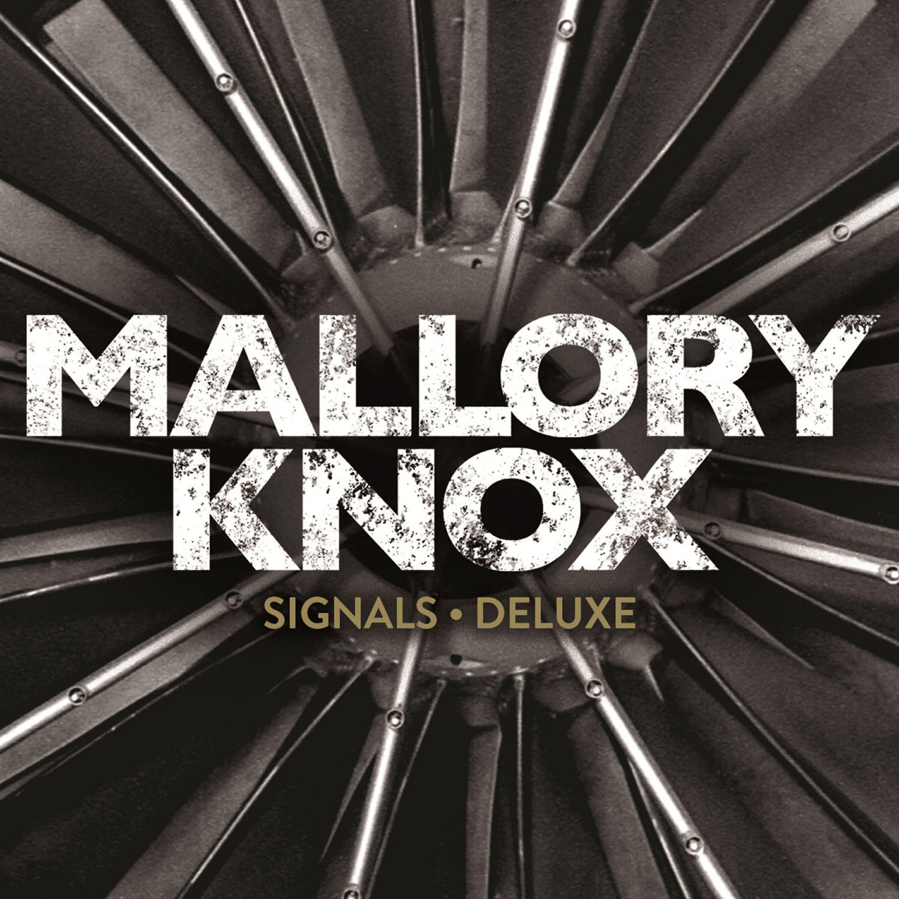 Mallory Knox - Lighthouse (Live in Cambridge)