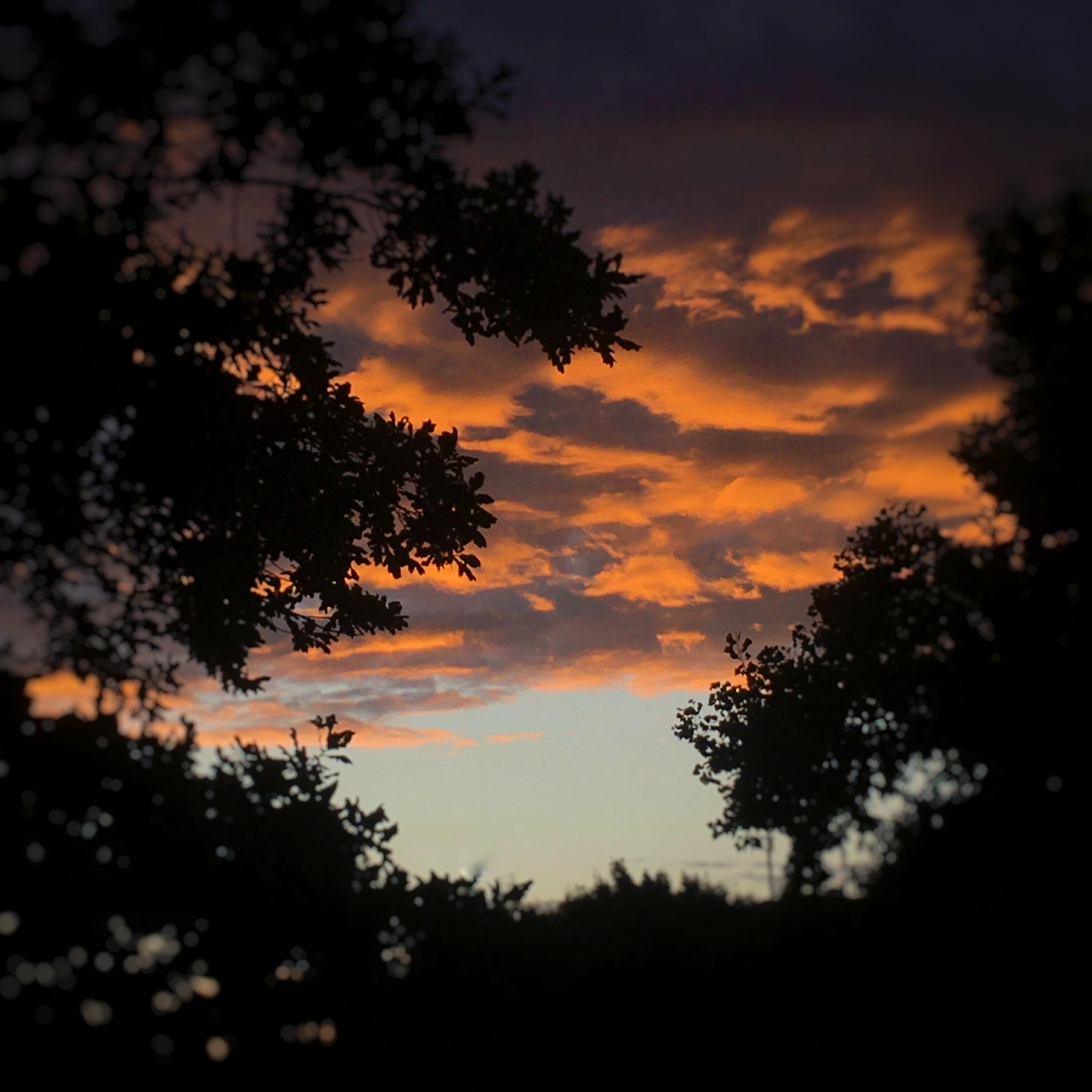 Альбом Сгорел исполнителя Alexey Krivdin