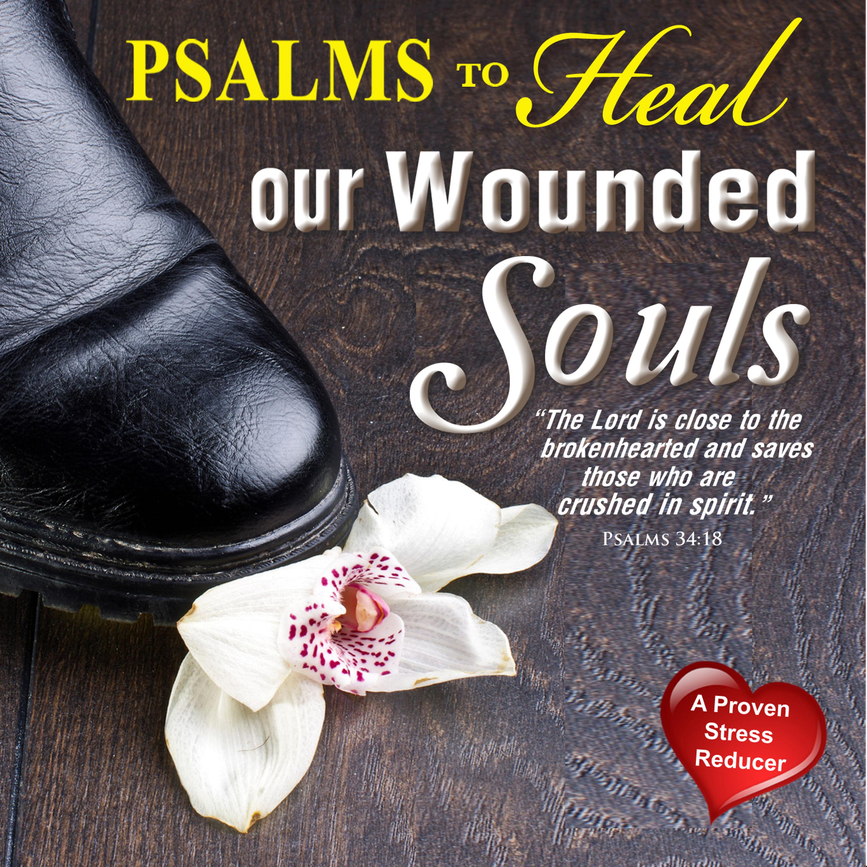 Постер альбома Psalms to Heal Wounded Souls