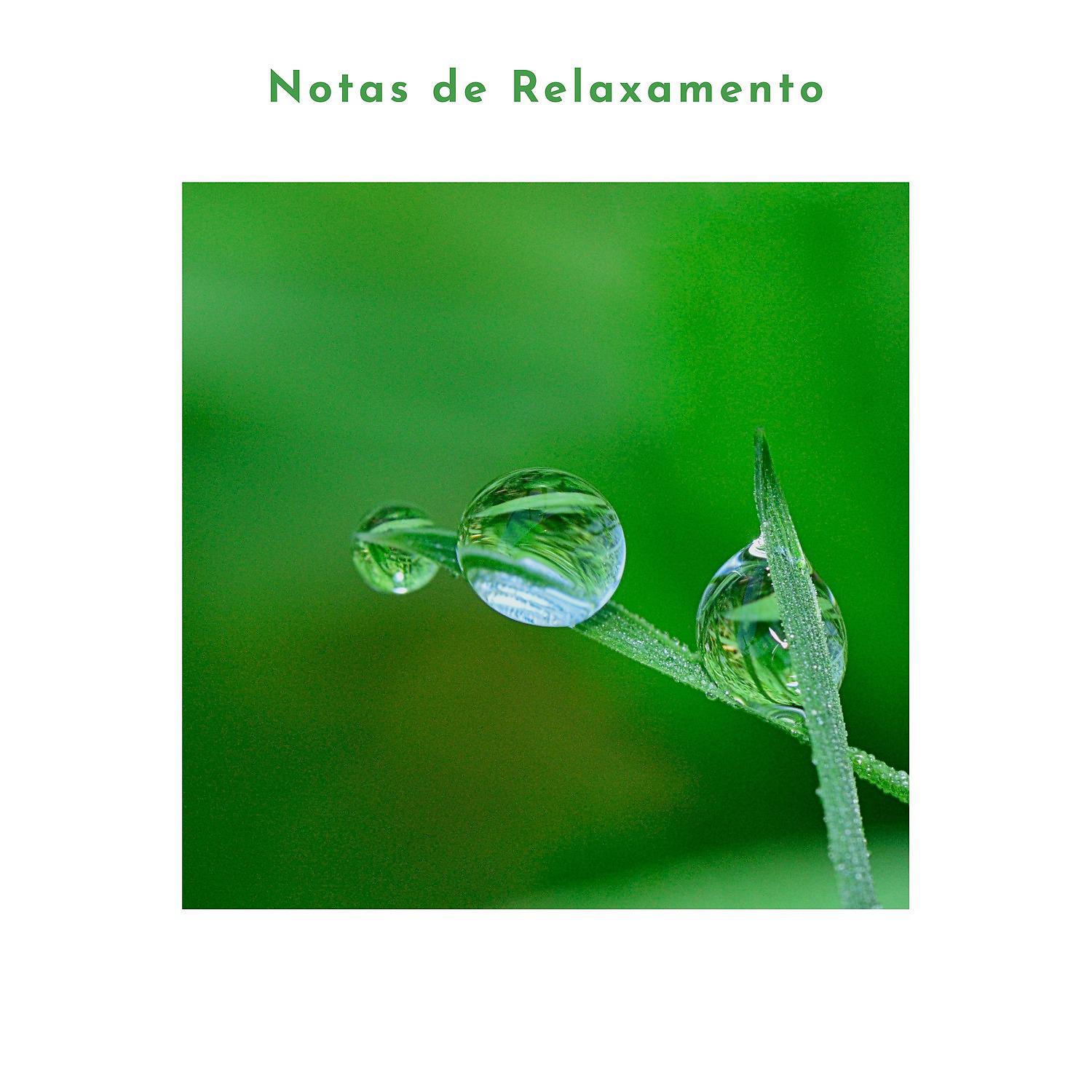 Постер альбома Notas de Relaxamento