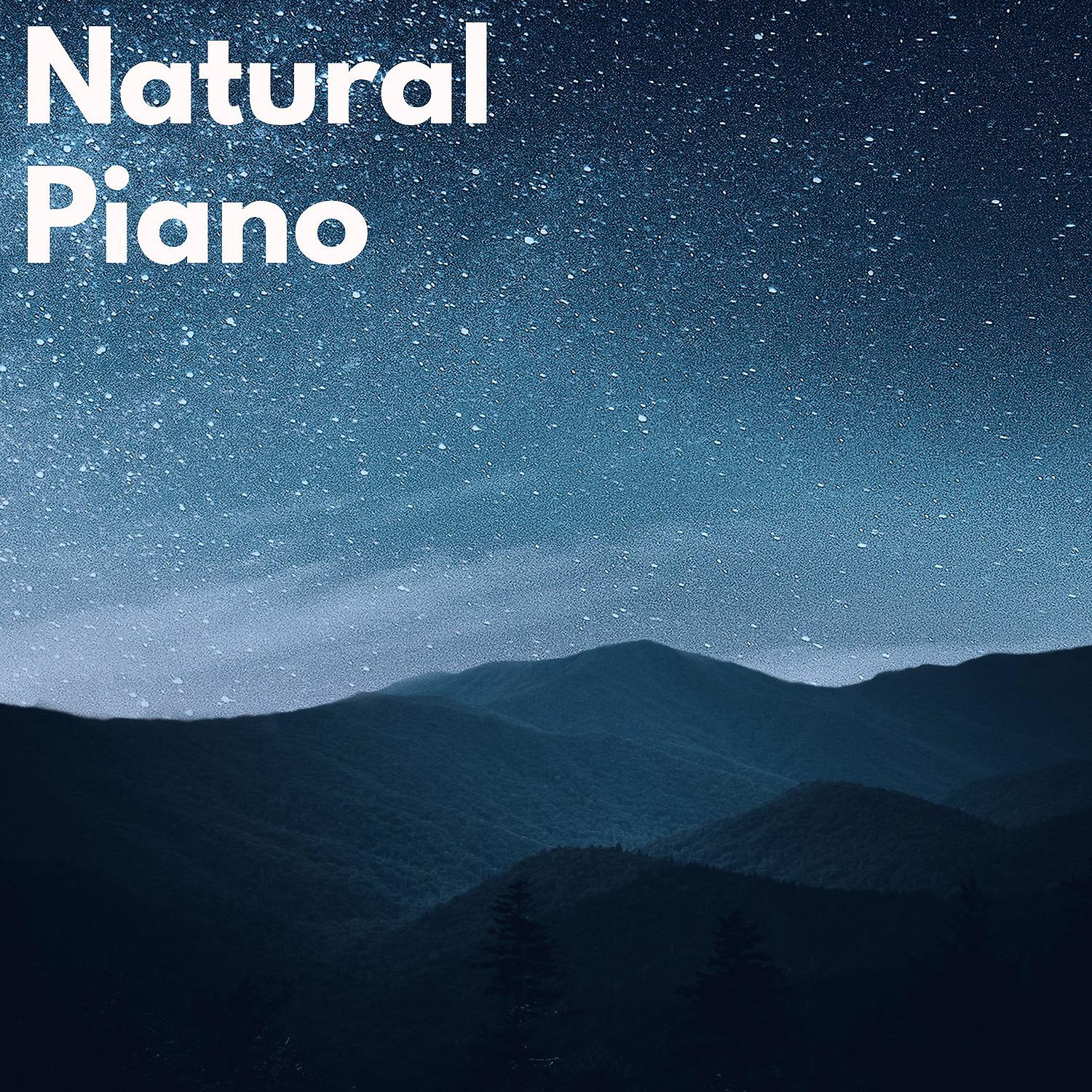 Постер альбома Natural Piano