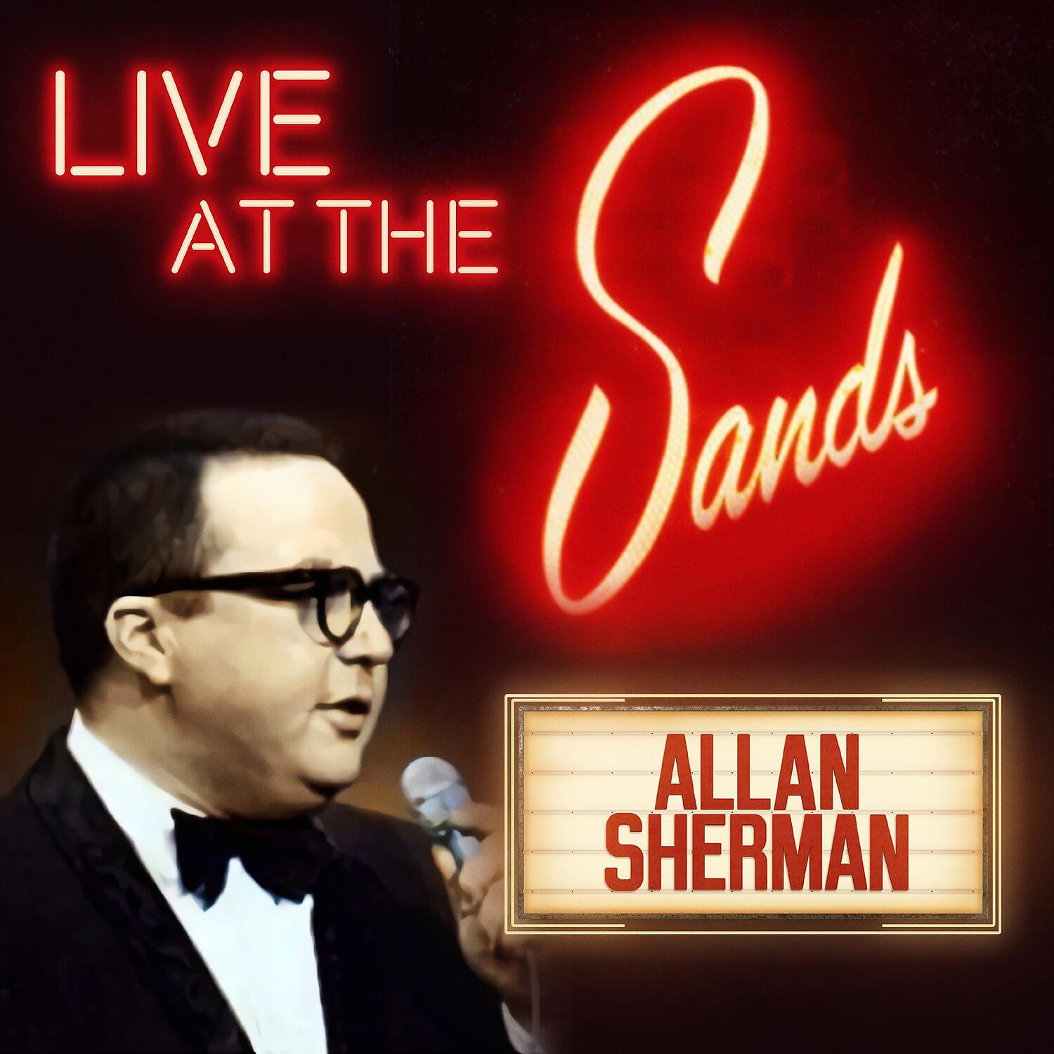 Allan Sherman - This Way I Look More Like Judy Garland