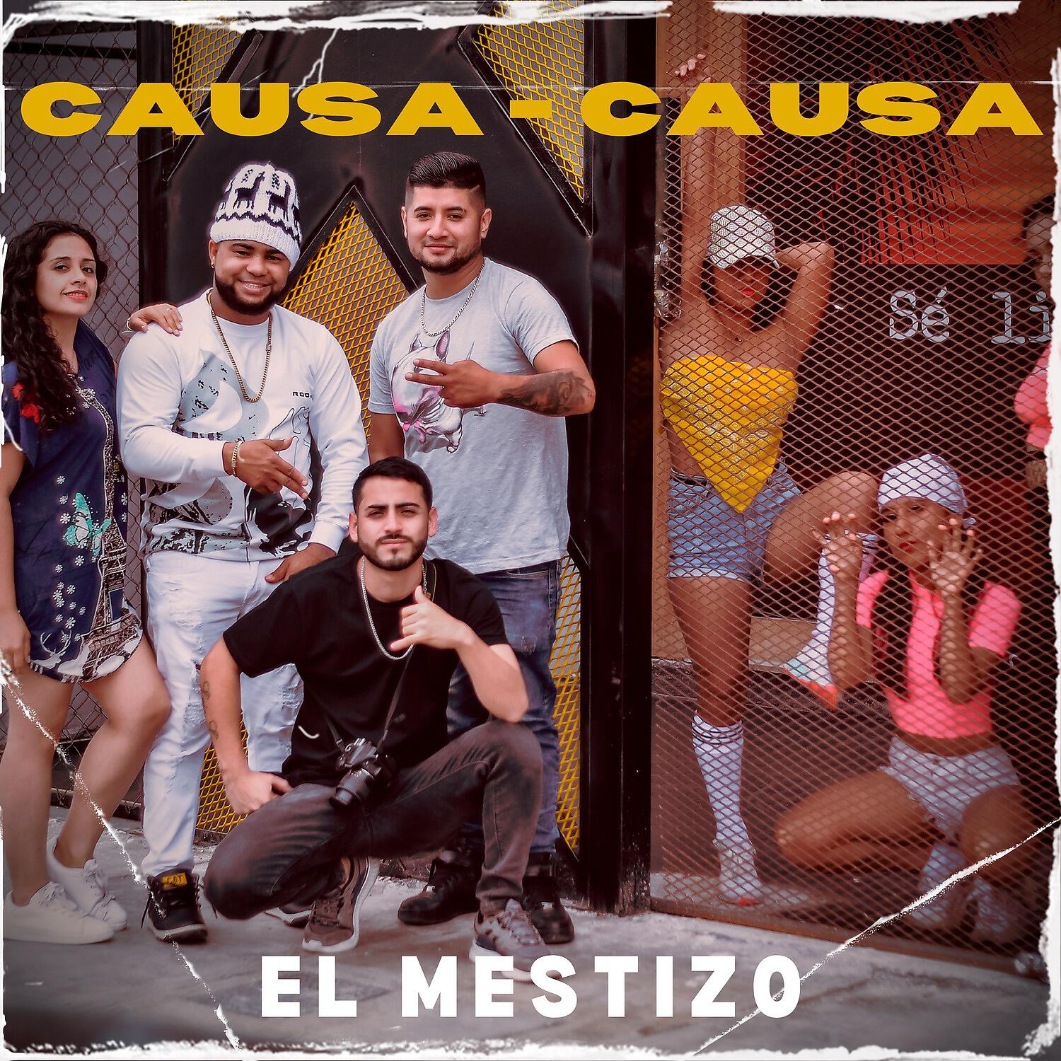 El mestizo - Causa causa