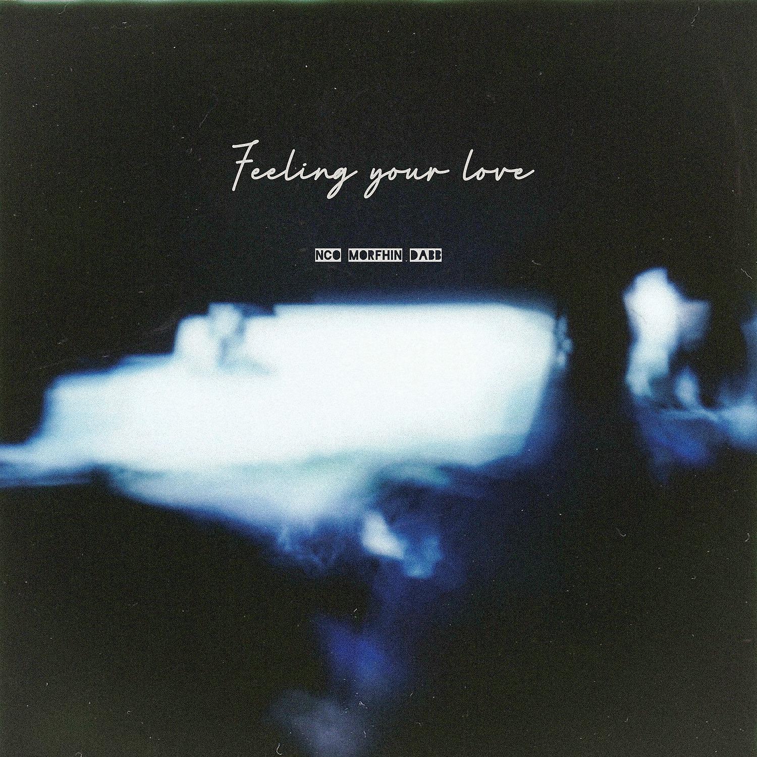 Постер альбома Feeling Your Love