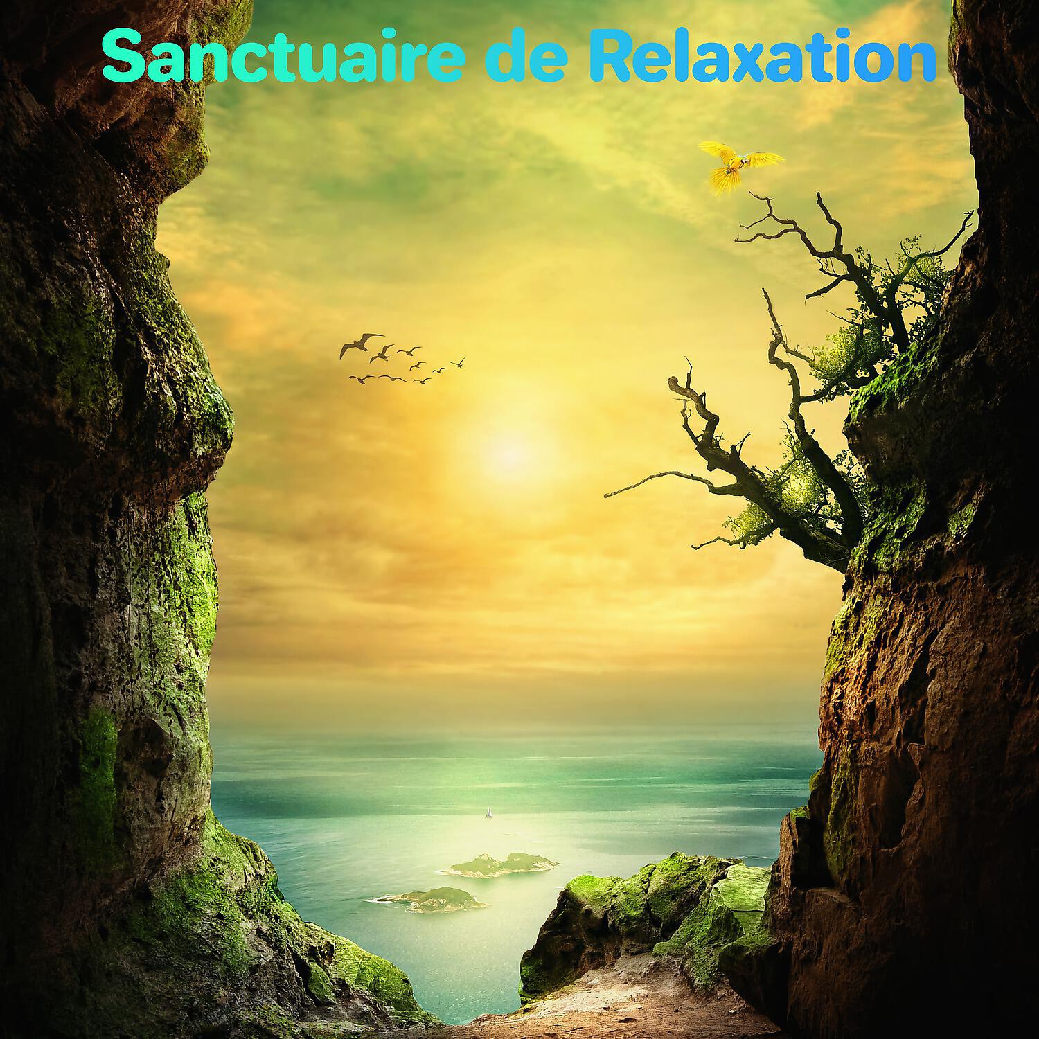 Musique Calme et Relaxation - Distant Memory