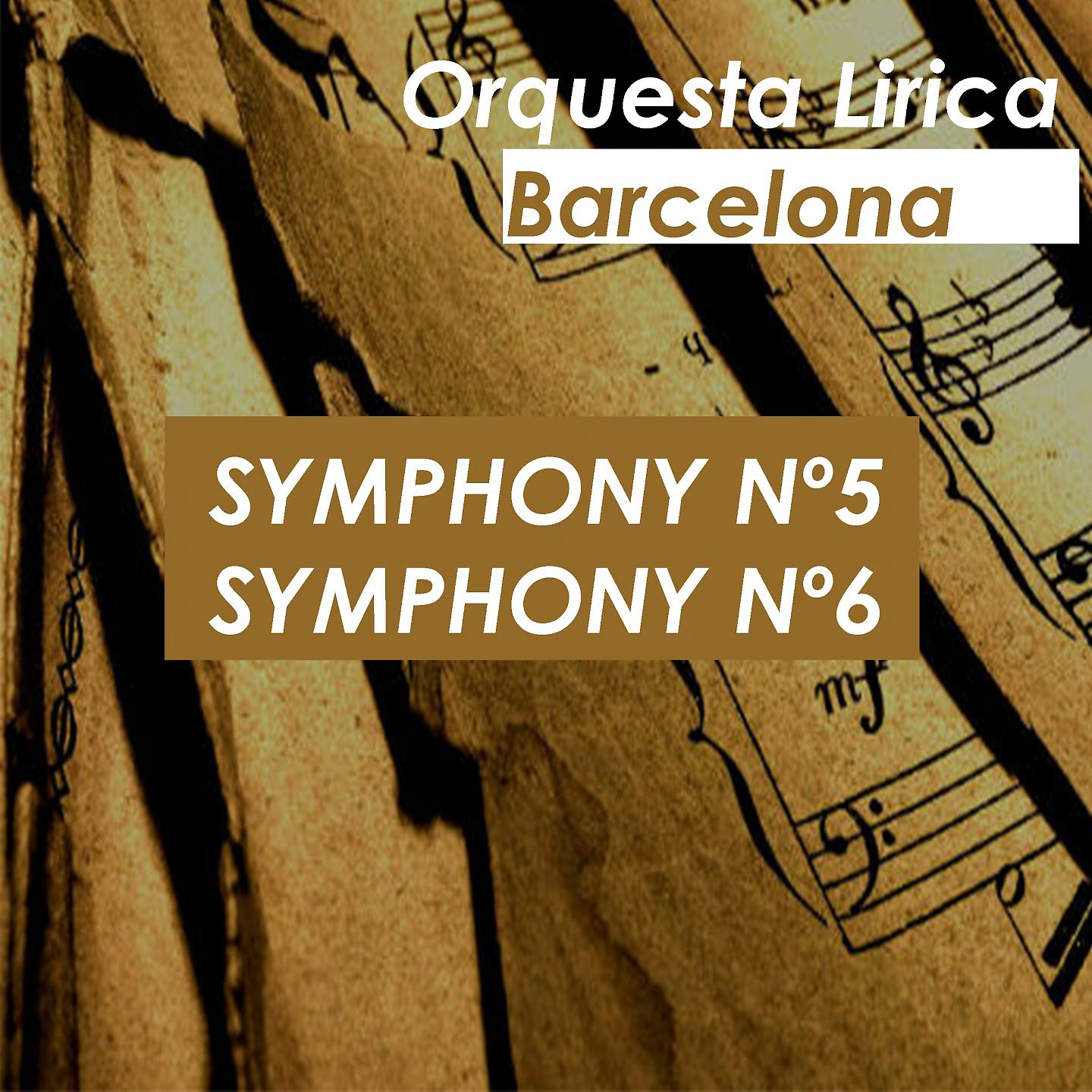 Постер альбома Symphony nº5-7
