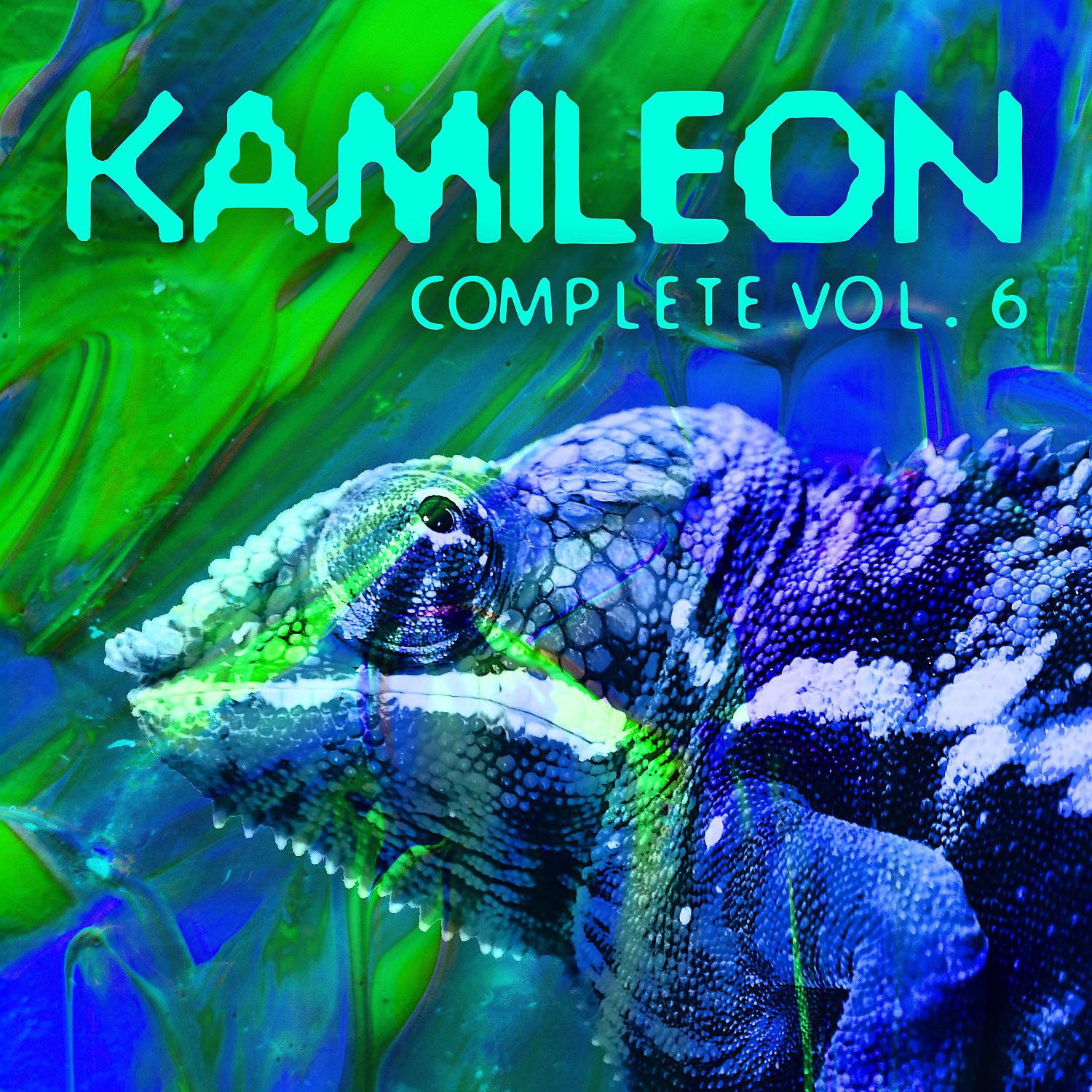 Постер альбома Kamileon Complete, Vol. 6