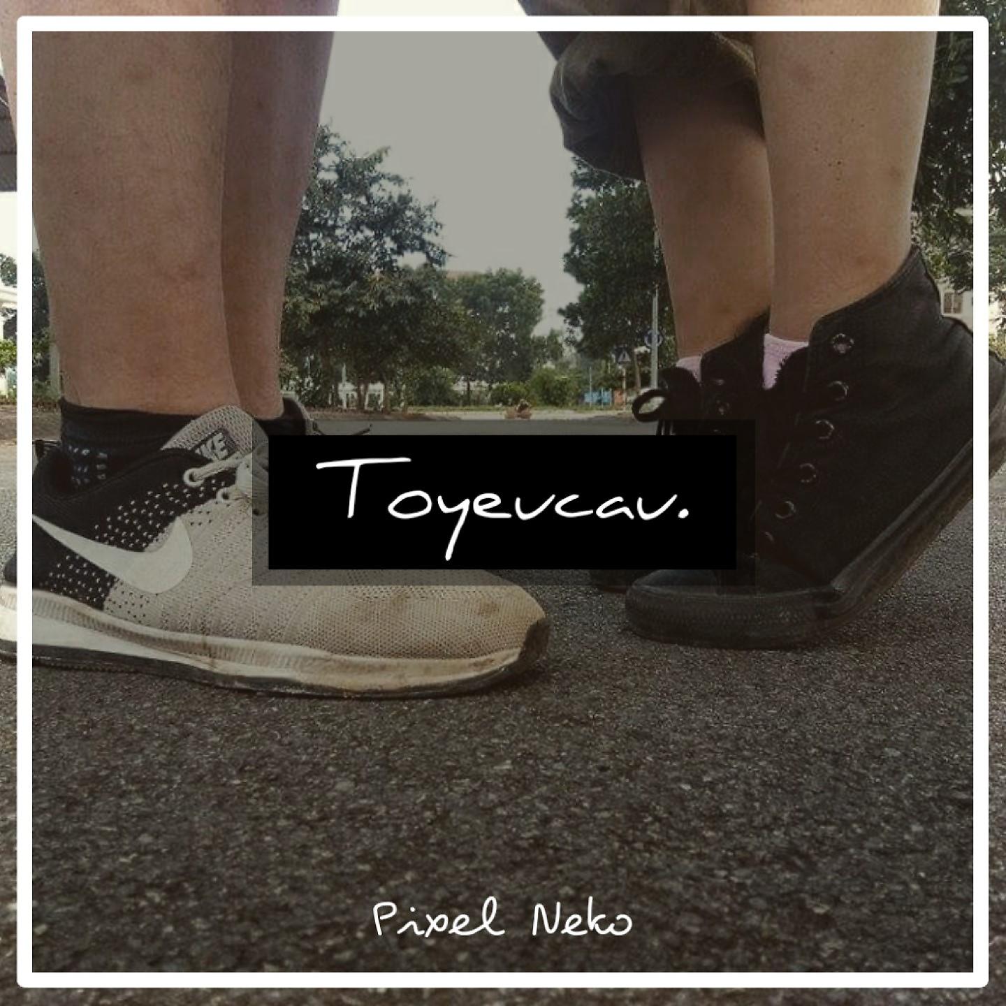 Постер альбома Toyeucau