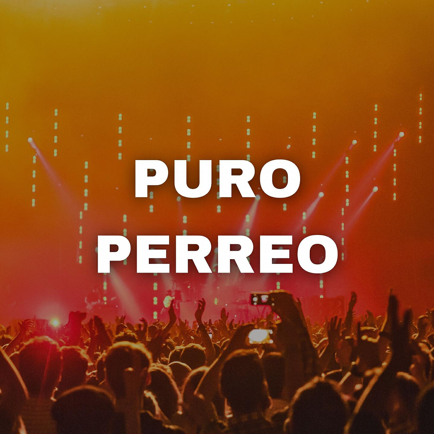 Dj Perreo Mix - Puro Perreo