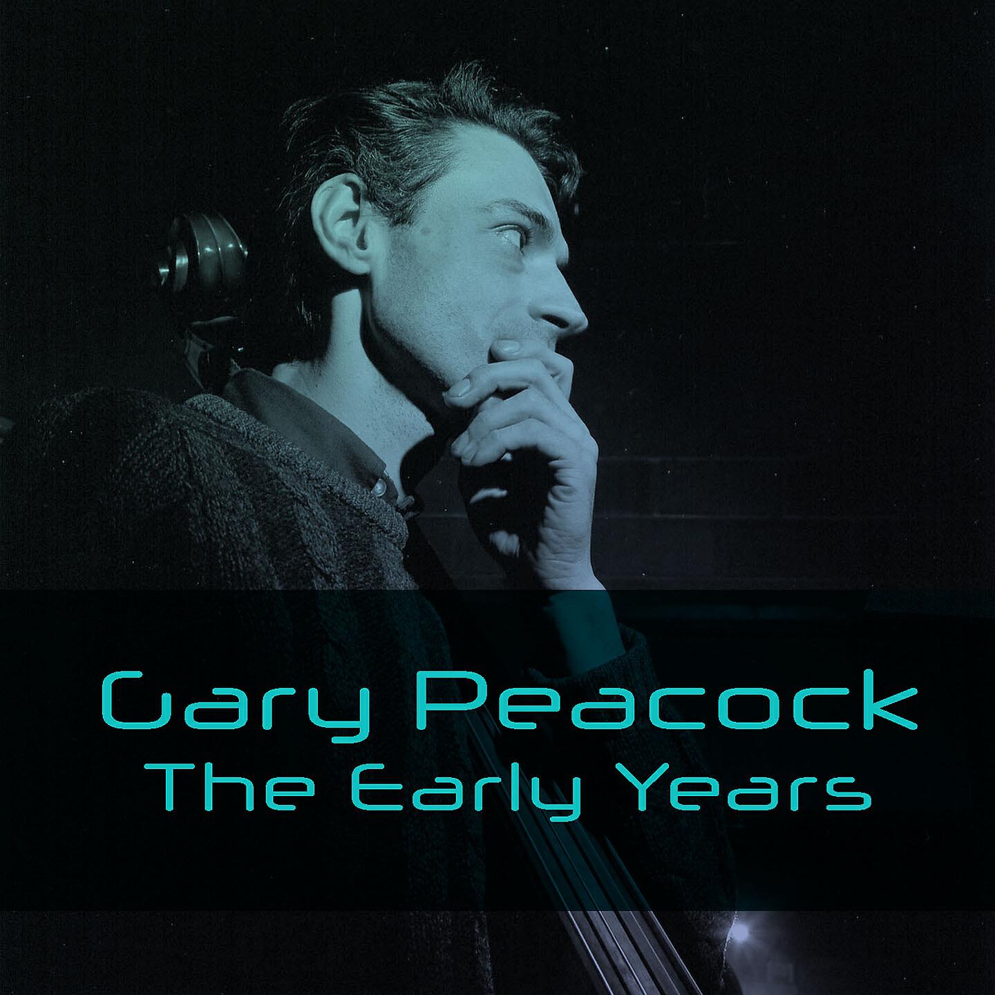 Gary Peacock - Irony