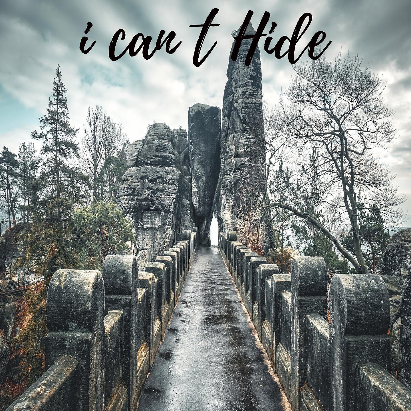 Постер альбома I Can T Hide