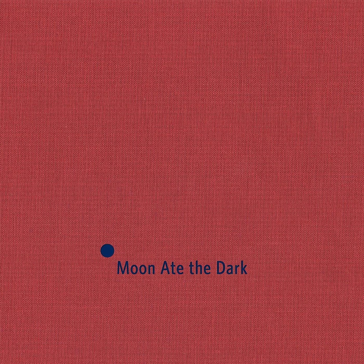 Постер альбома Moon Ate the Dark