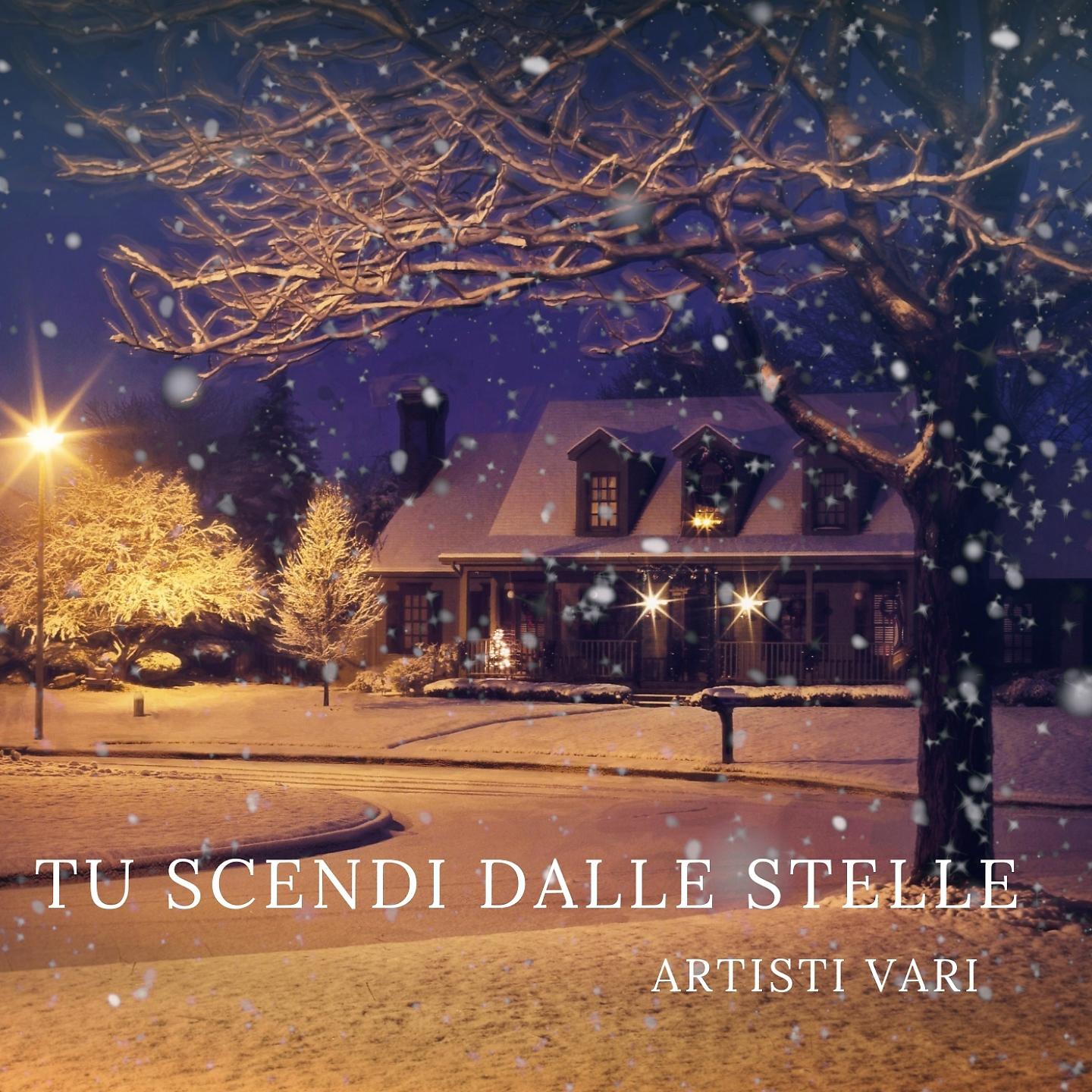 Постер альбома Tu Scendi dalle Stelle