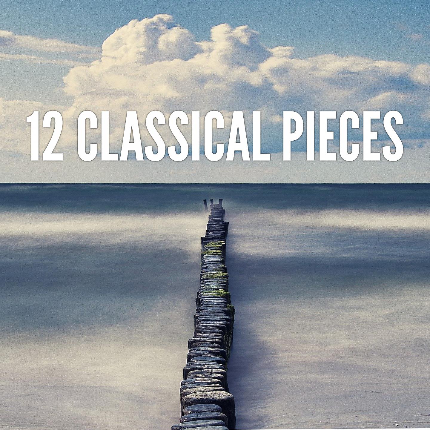 Постер альбома 12 Classical Pieces