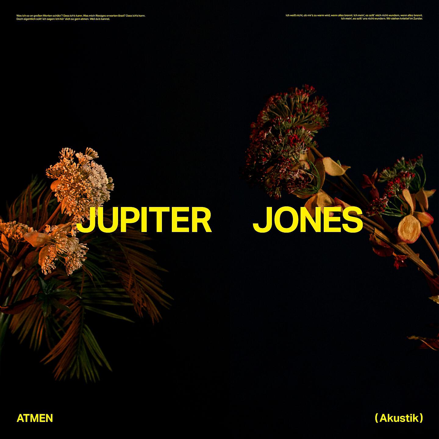 Jupiter Jones - Atmen (Akustik)