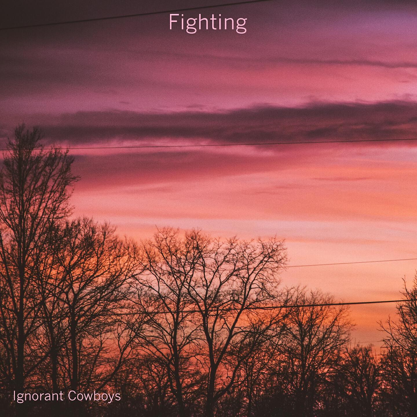 Ignorant Cowboys - Lost Minds
